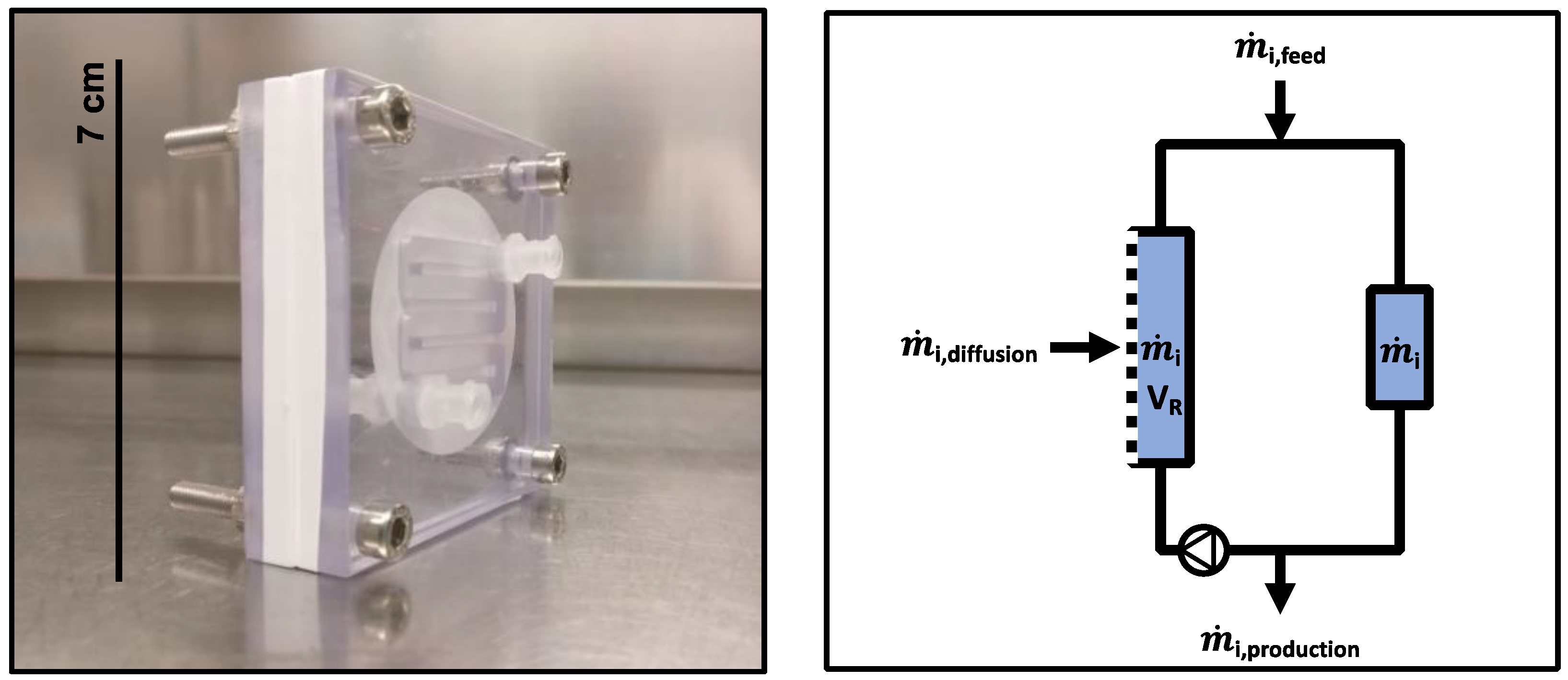 Bioengineering 10 00103 g001 Bioengineering 10 00103 g001