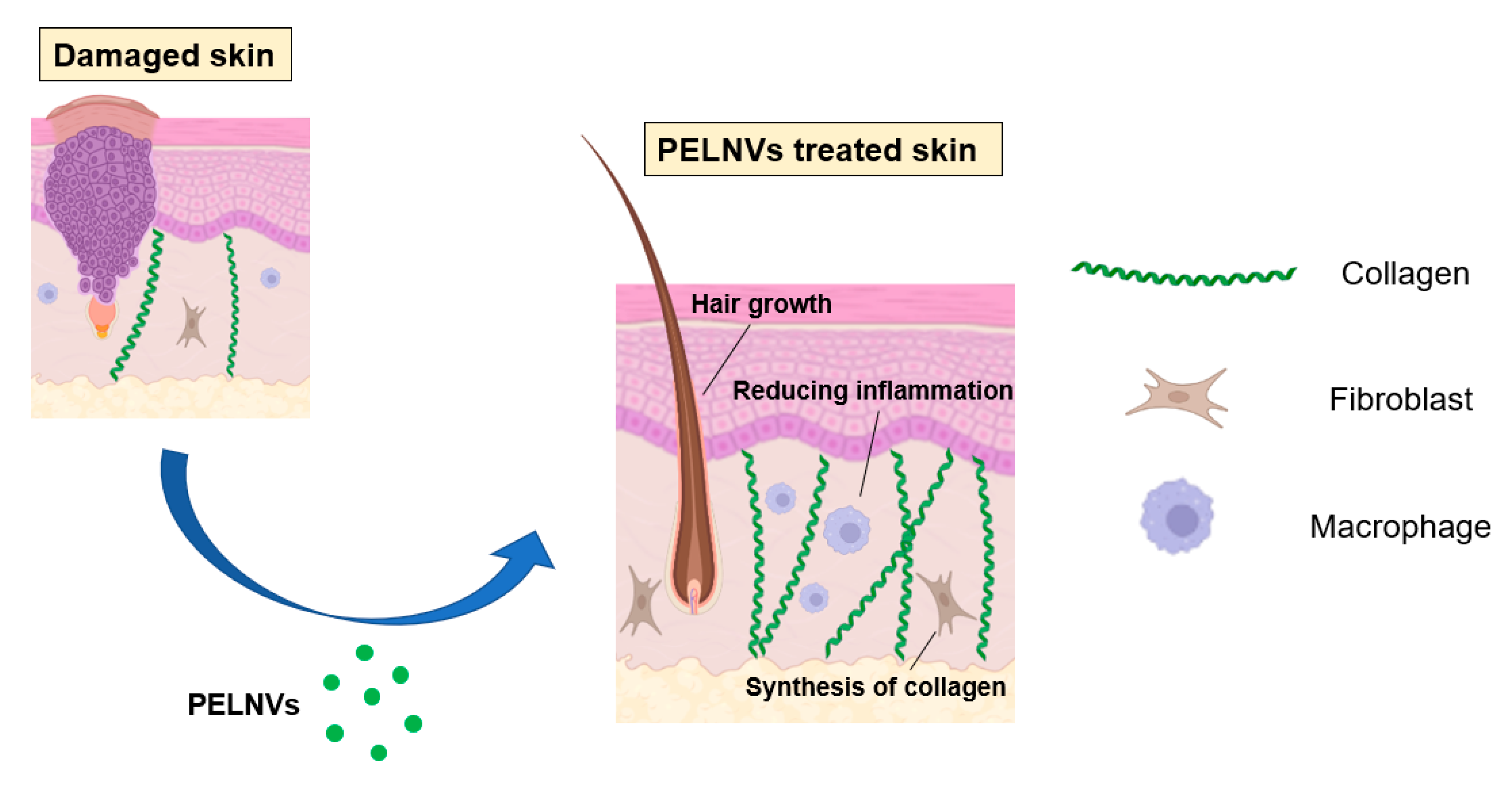 Bioengineering 10 00104 g002 Bioengineering 10 00104 g002