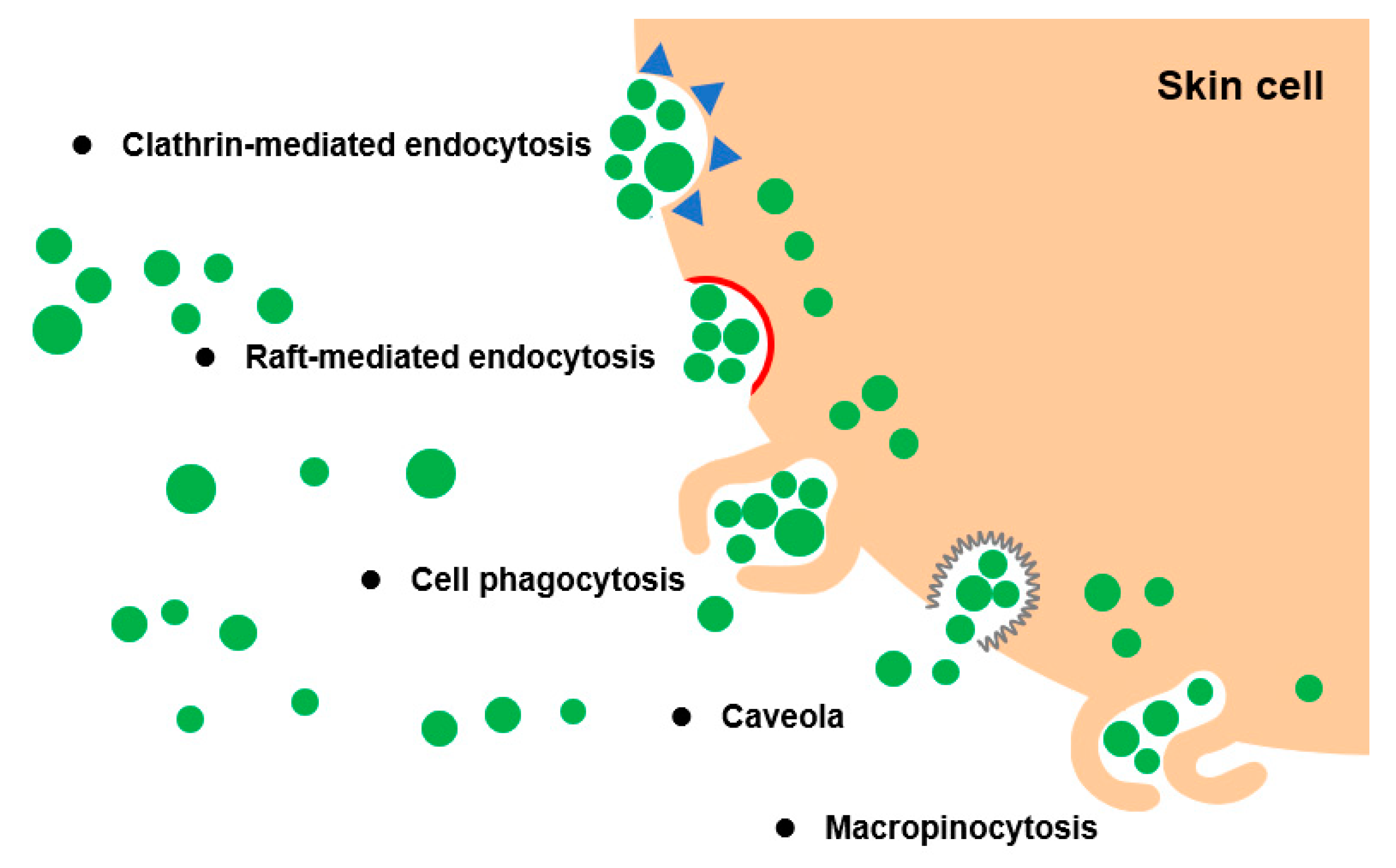 Bioengineering 10 00104 g003 Bioengineering 10 00104 g003