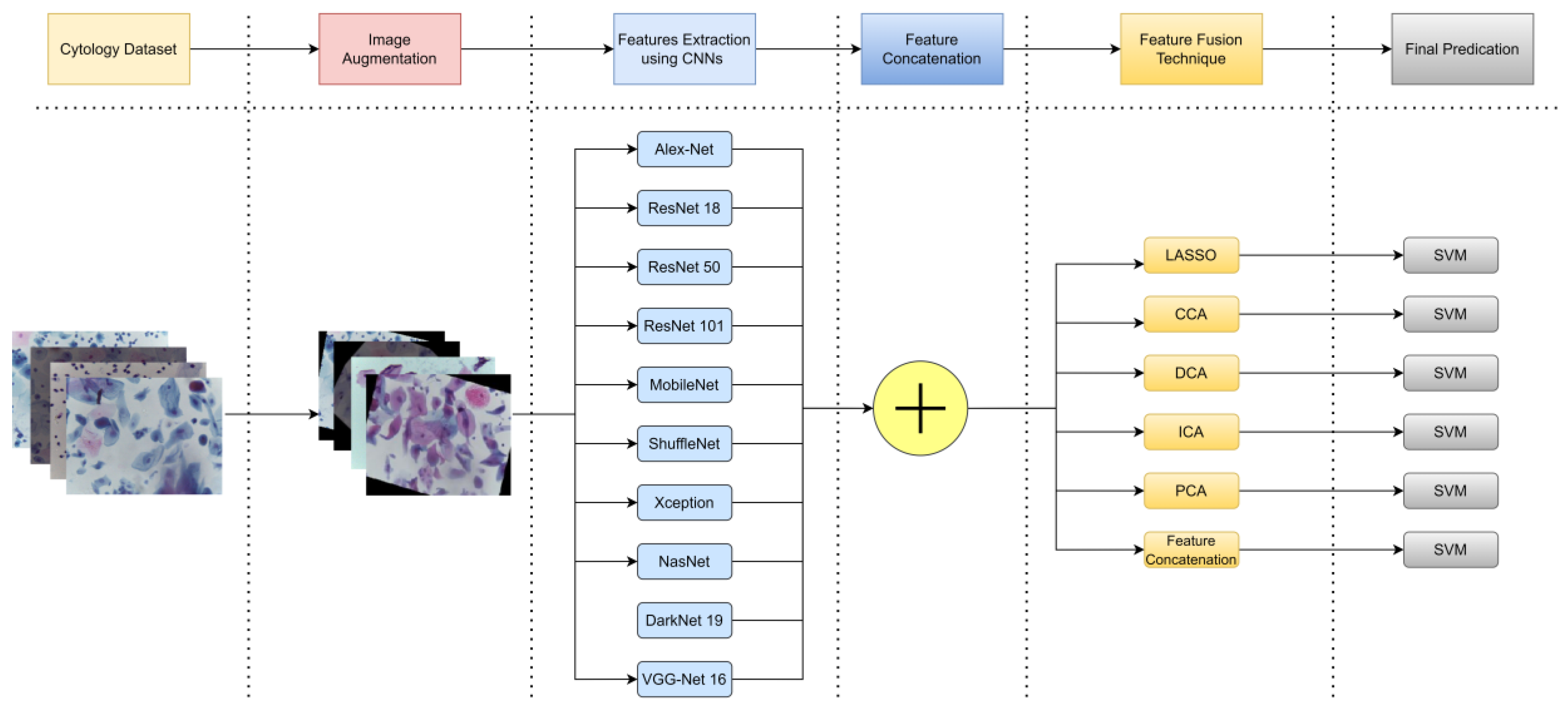 Bioengineering 10 00105 g001