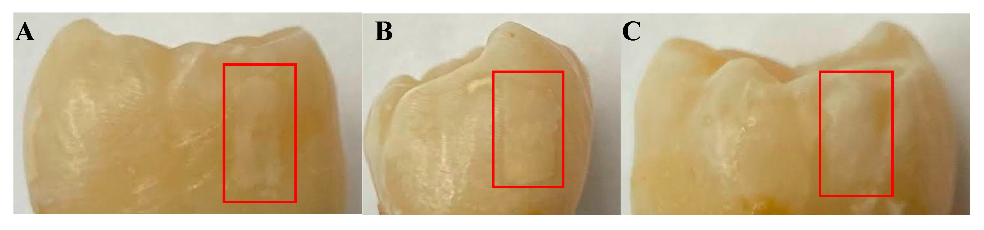 Bioengineering 10 00112 g002 Bioengineering 10 00112 g002