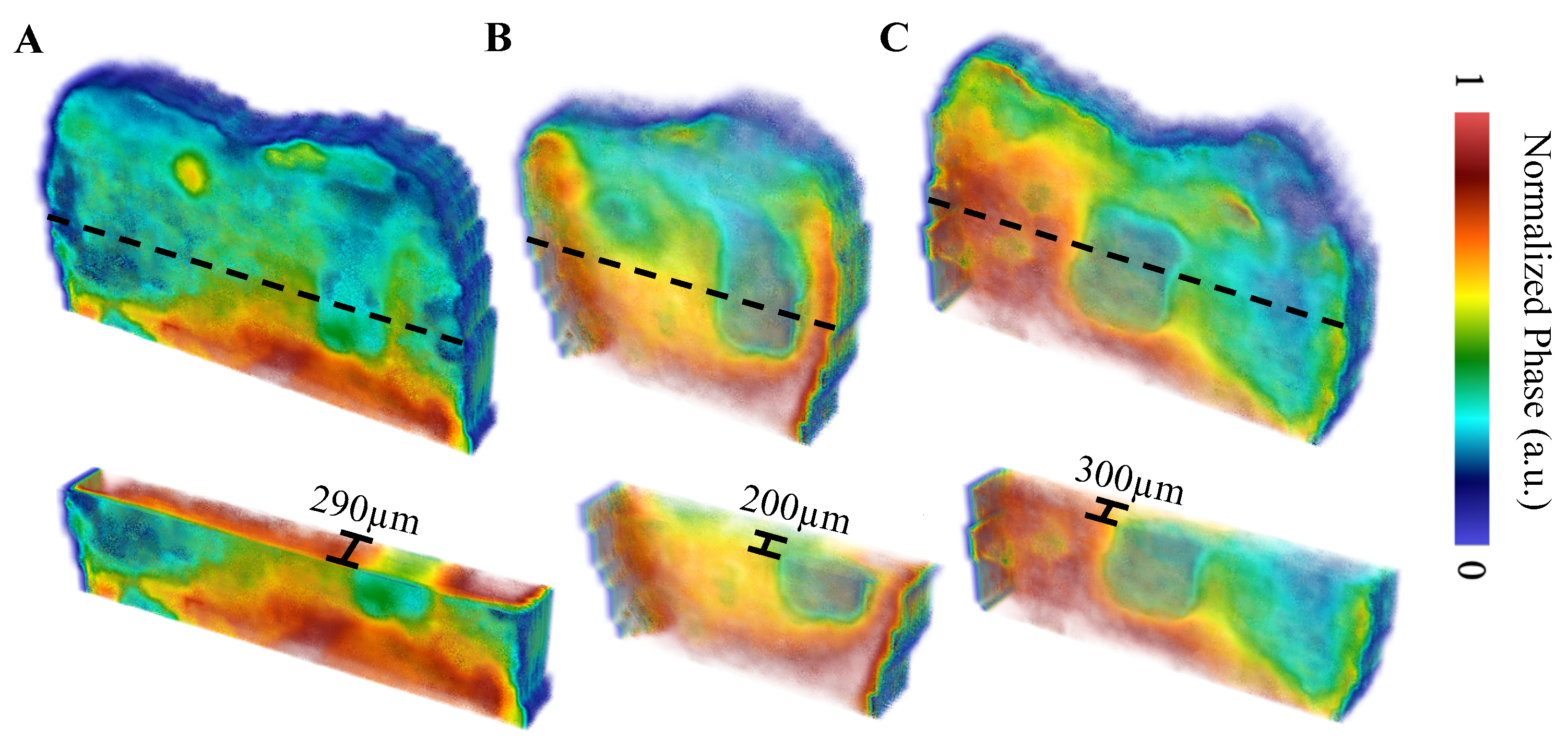 Bioengineering 10 00112 g007 Bioengineering 10 00112 g007