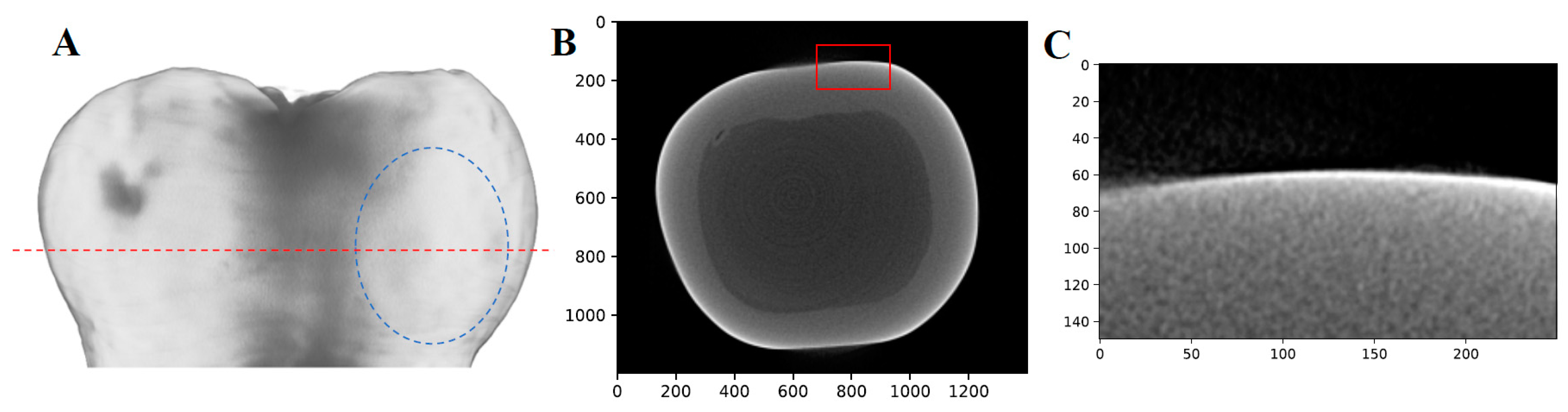 Bioengineering 10 00112 g012 Bioengineering 10 00112 g012