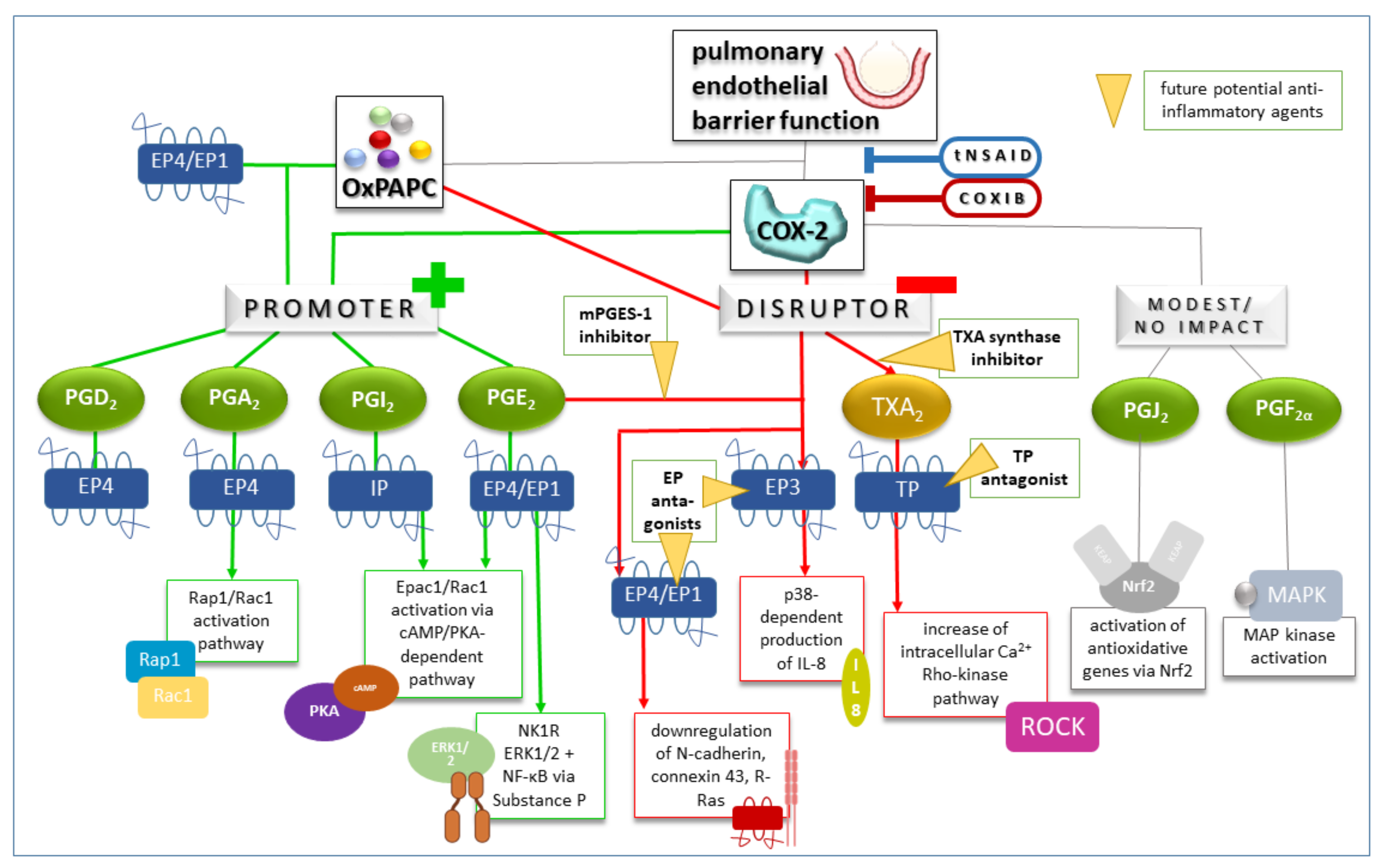 Bioengineering 10 00117 g002