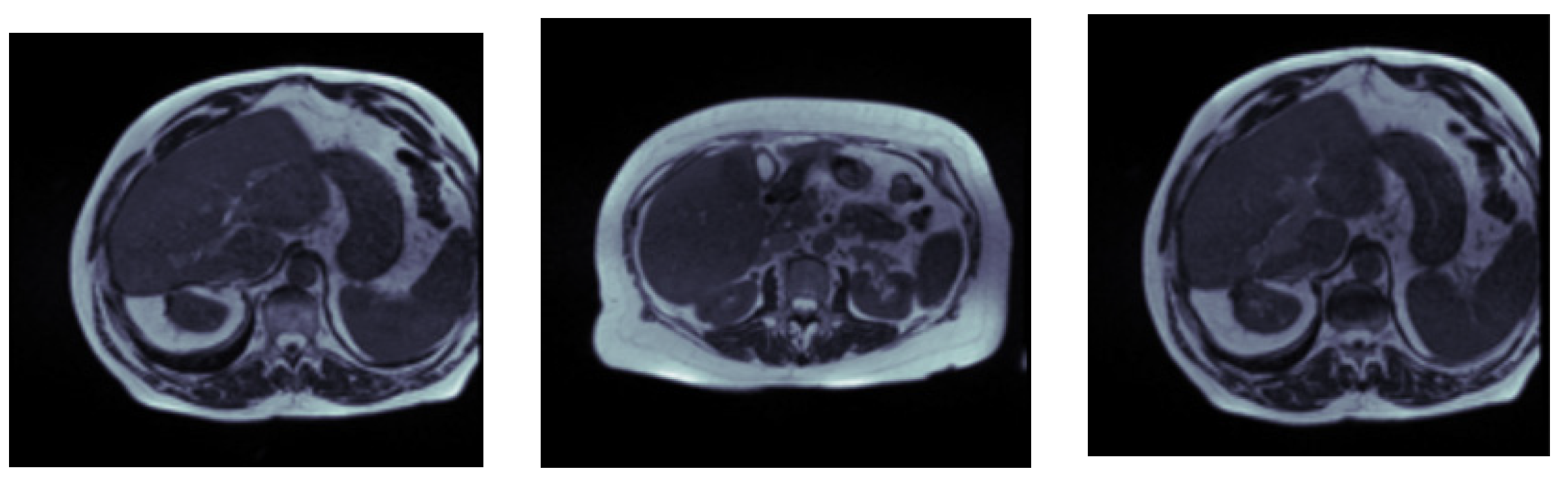 Bioengineering 10 00119 g002