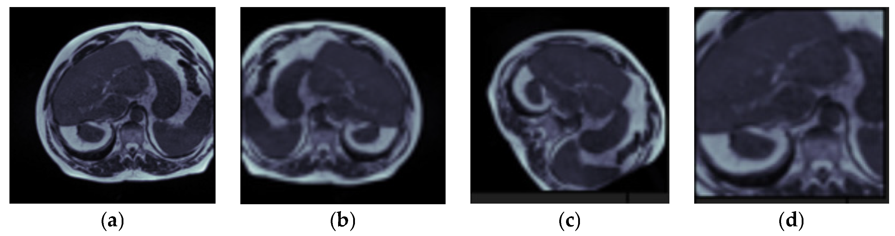 Bioengineering 10 00119 g006