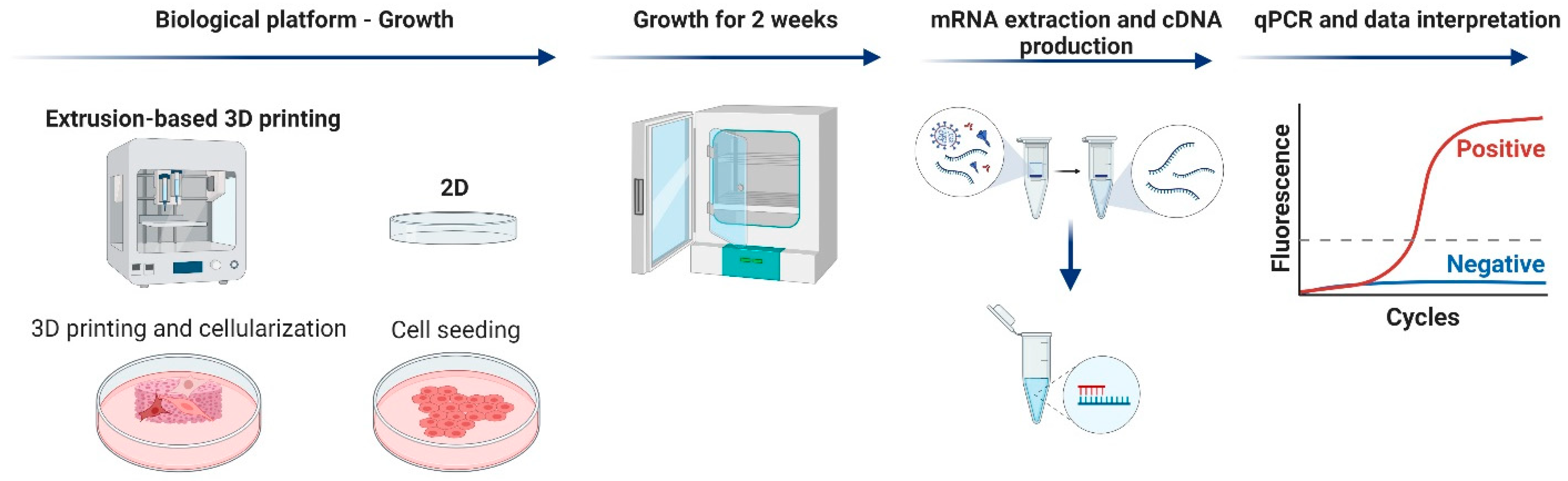 Bioengineering 10 00121 g001