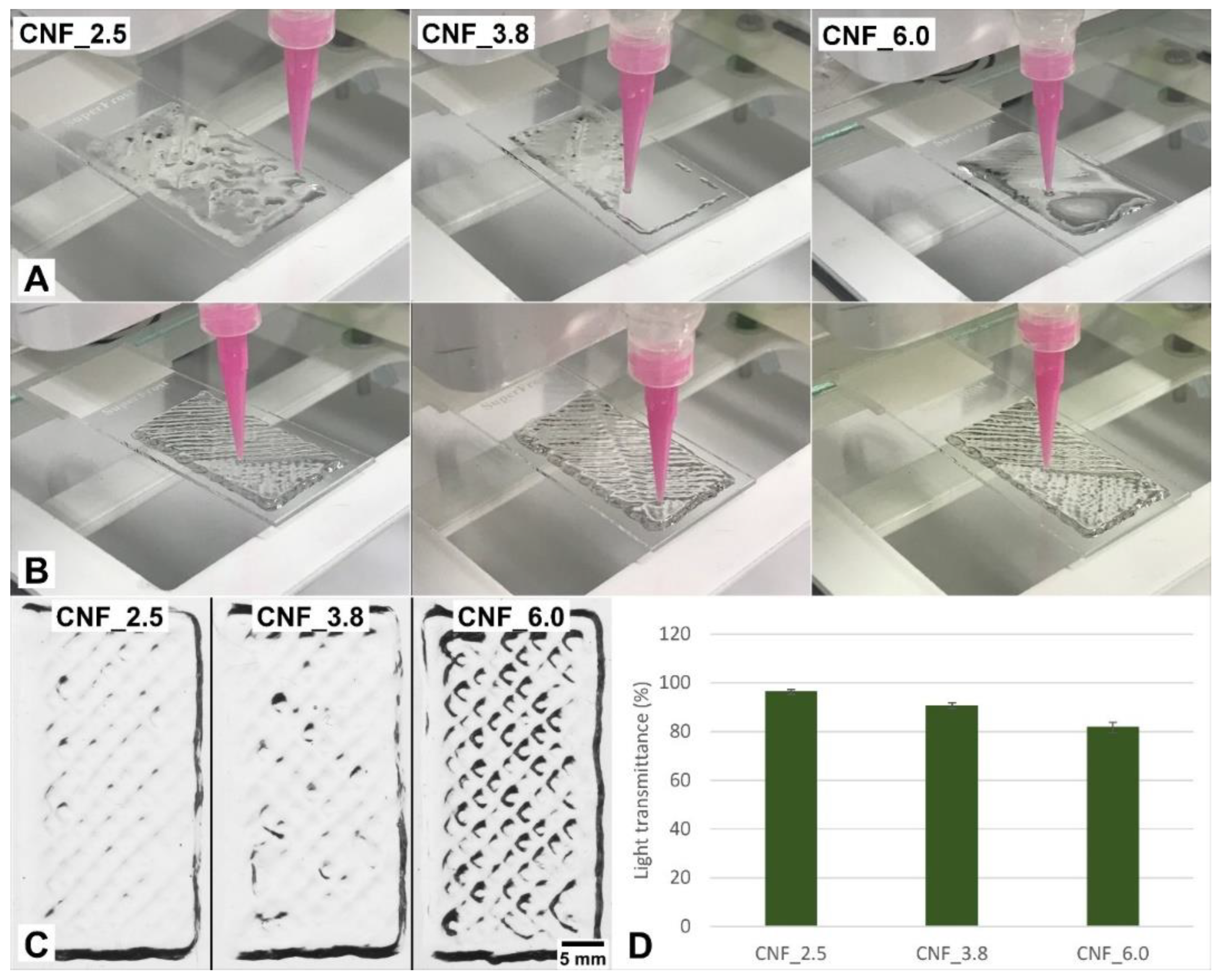 Bioengineering 10 00121 g003
