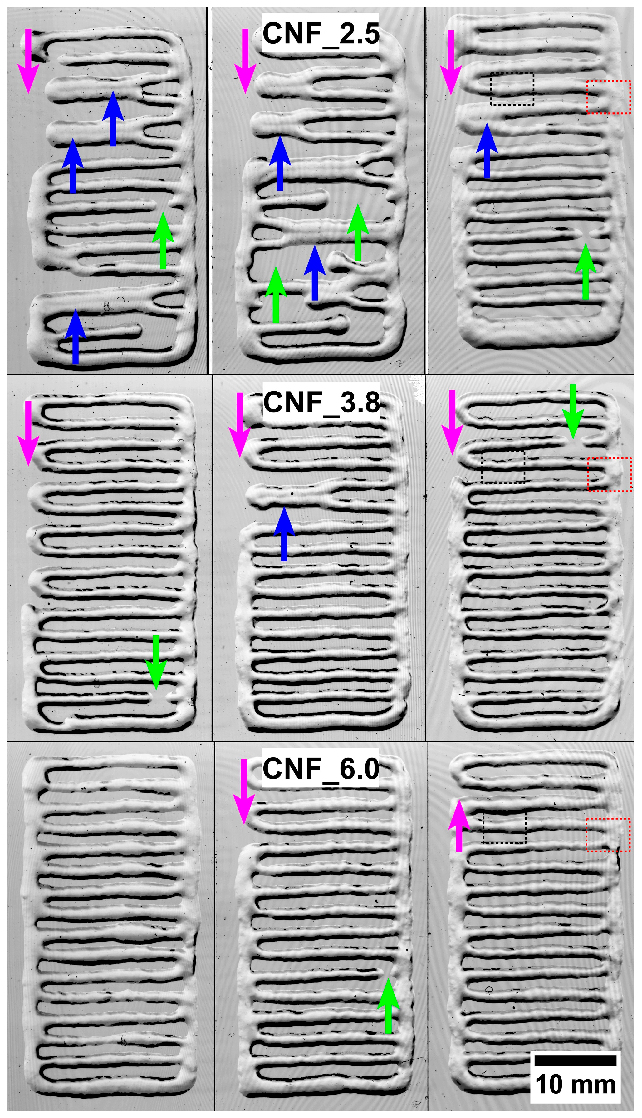 Bioengineering 10 00121 g004