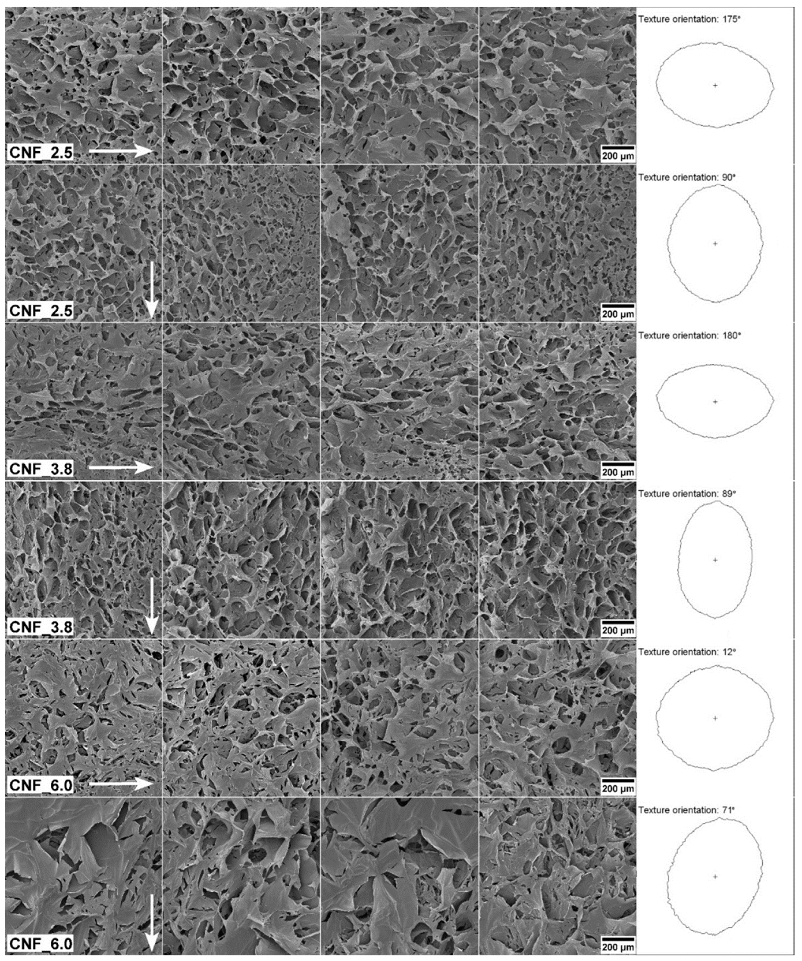 Bioengineering 10 00121 g005