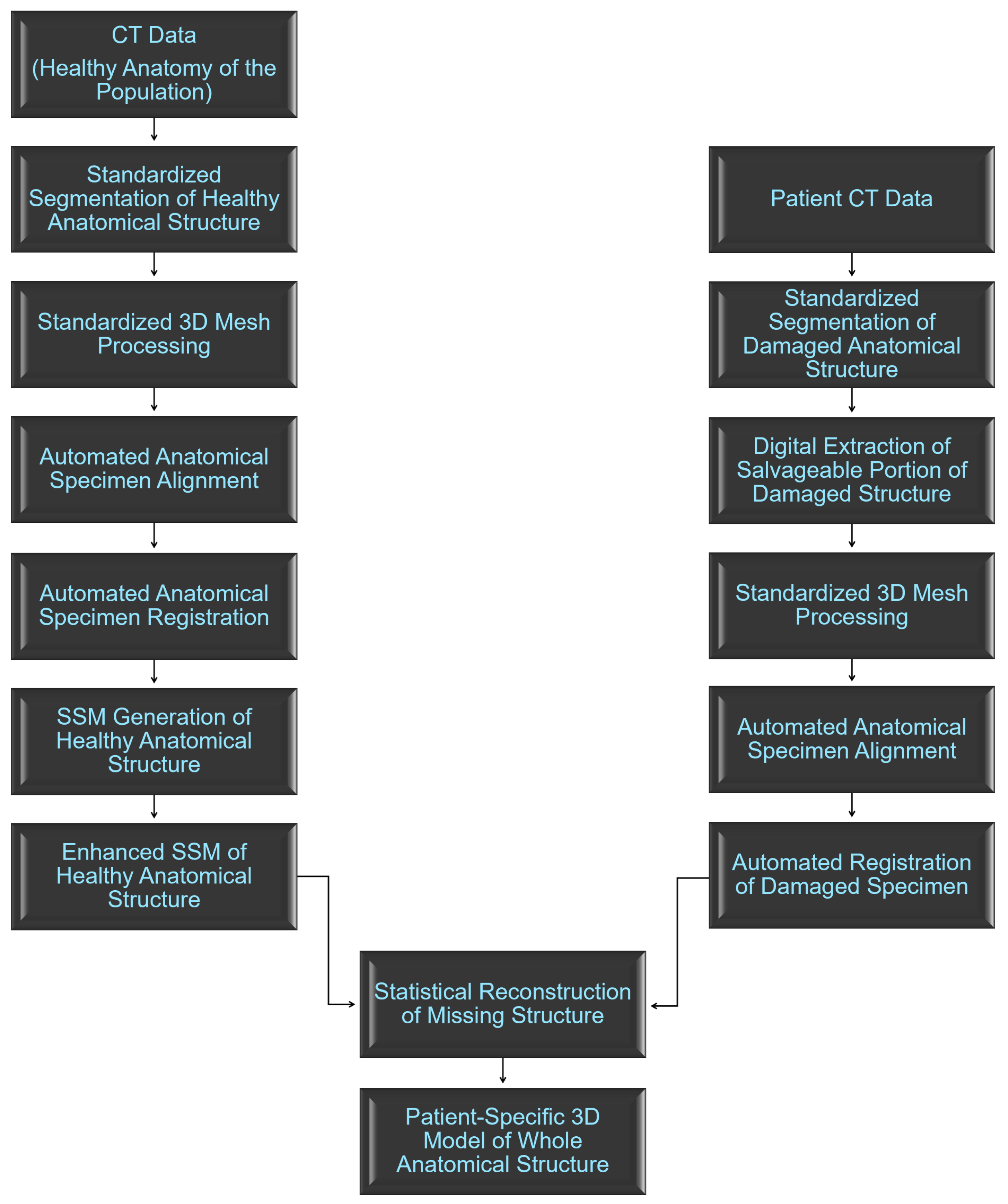 Bioengineering 10 00123 g001 Bioengineering 10 00123 g001
