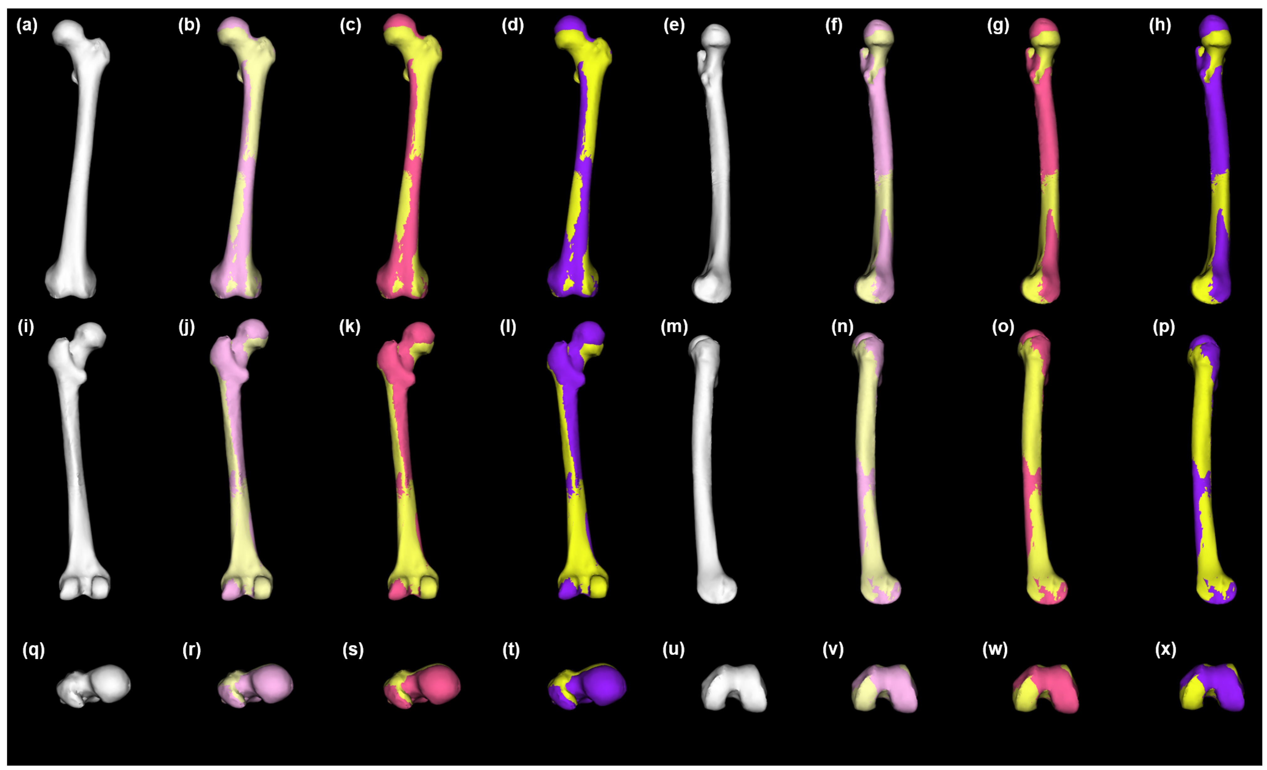 Bioengineering 10 00123 g003 Bioengineering 10 00123 g003