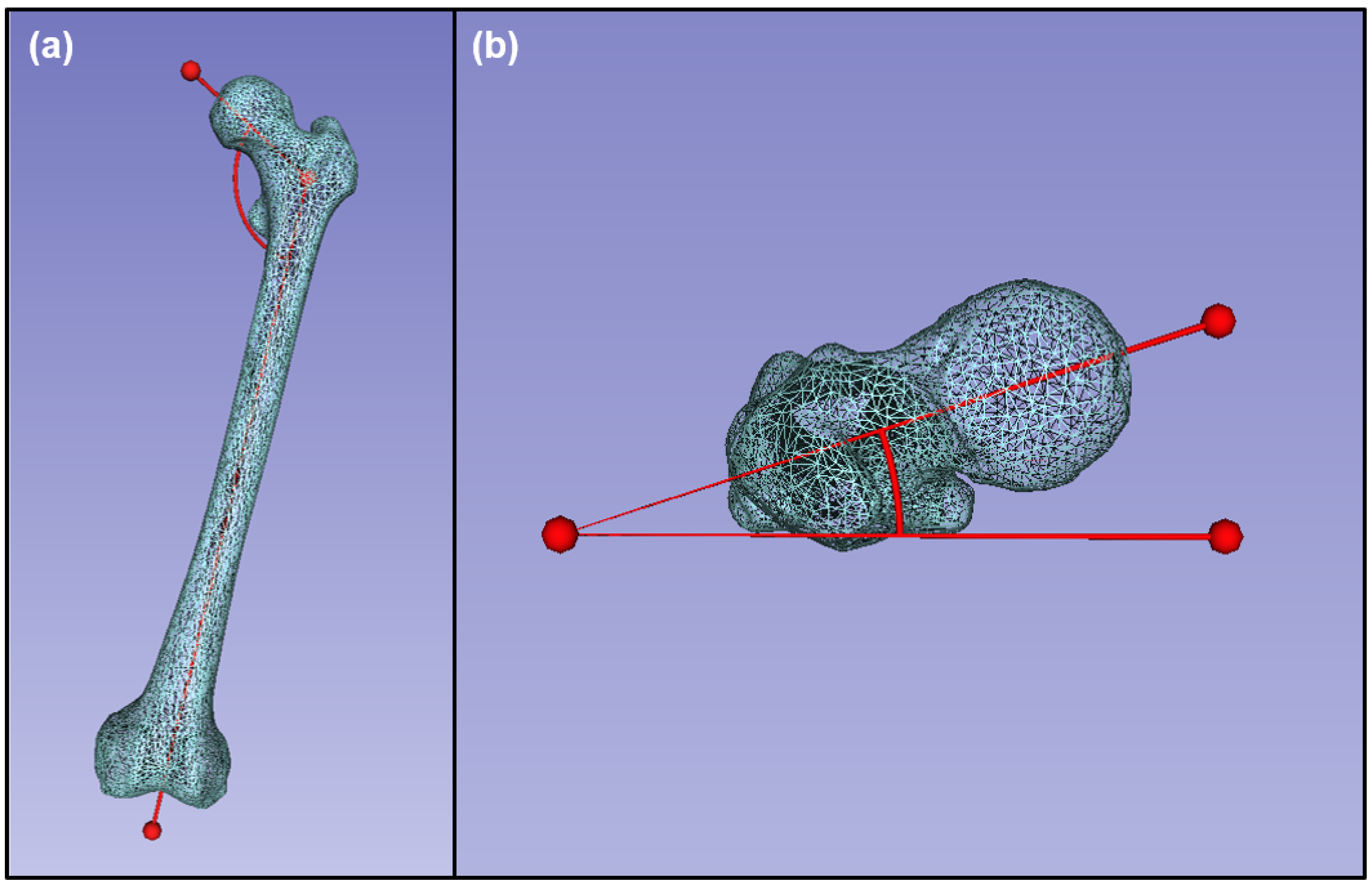 Bioengineering 10 00123 g004 Bioengineering 10 00123 g004