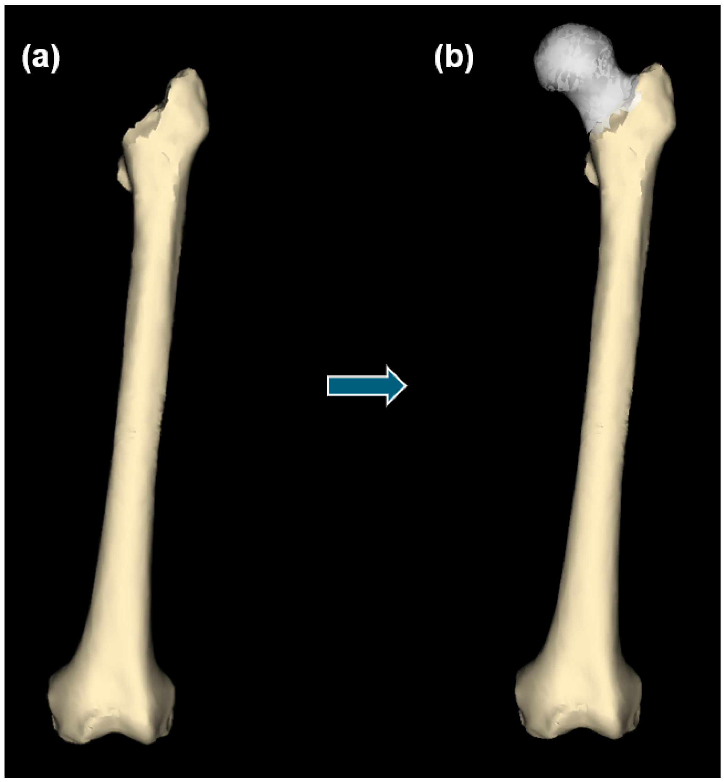 Bioengineering 10 00123 g005 Bioengineering 10 00123 g005