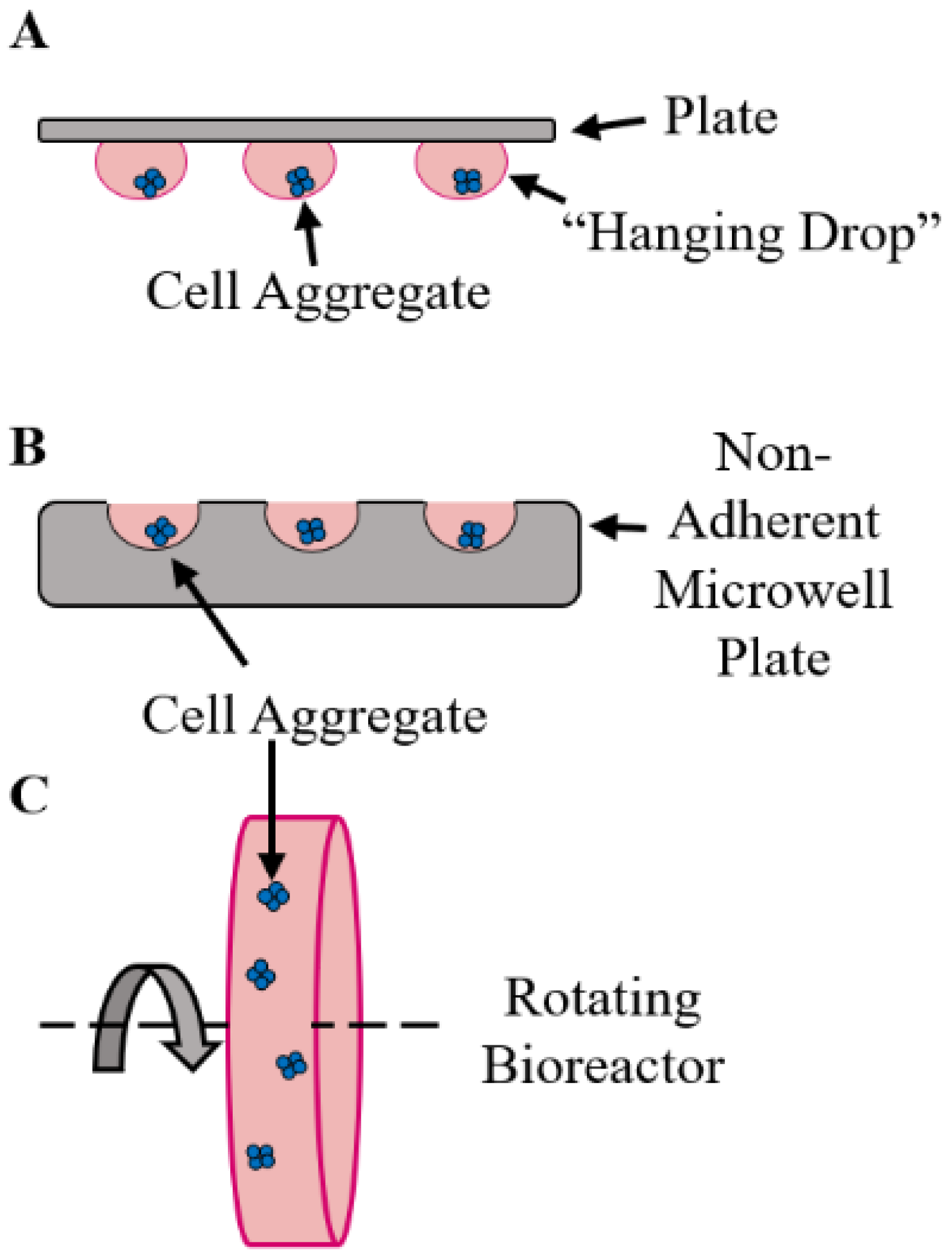 Bioengineering 10 00124 g001 Bioengineering 10 00124 g001