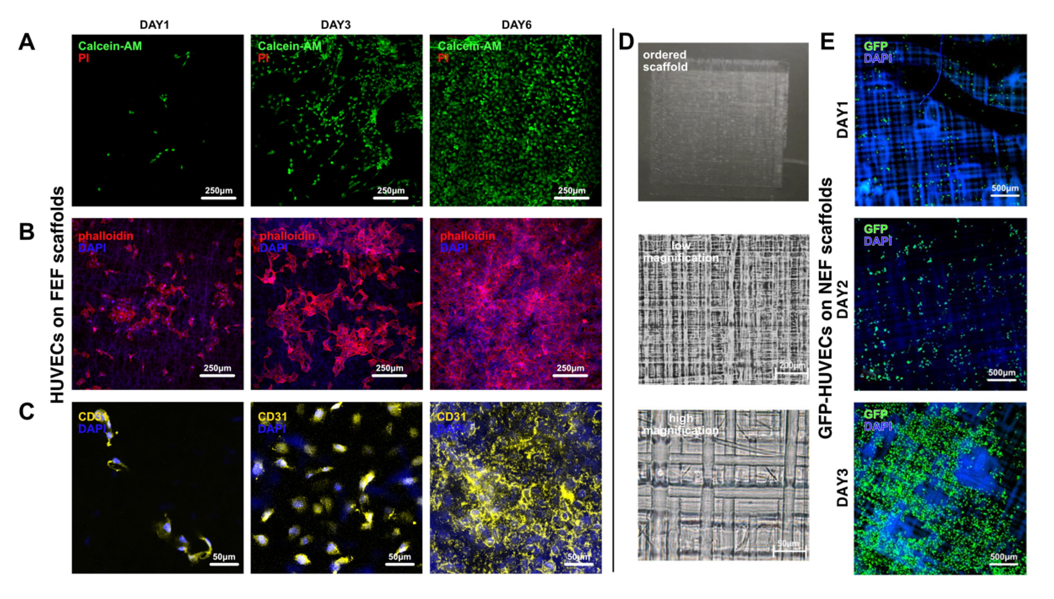 Bioengineering 10 00130 g005