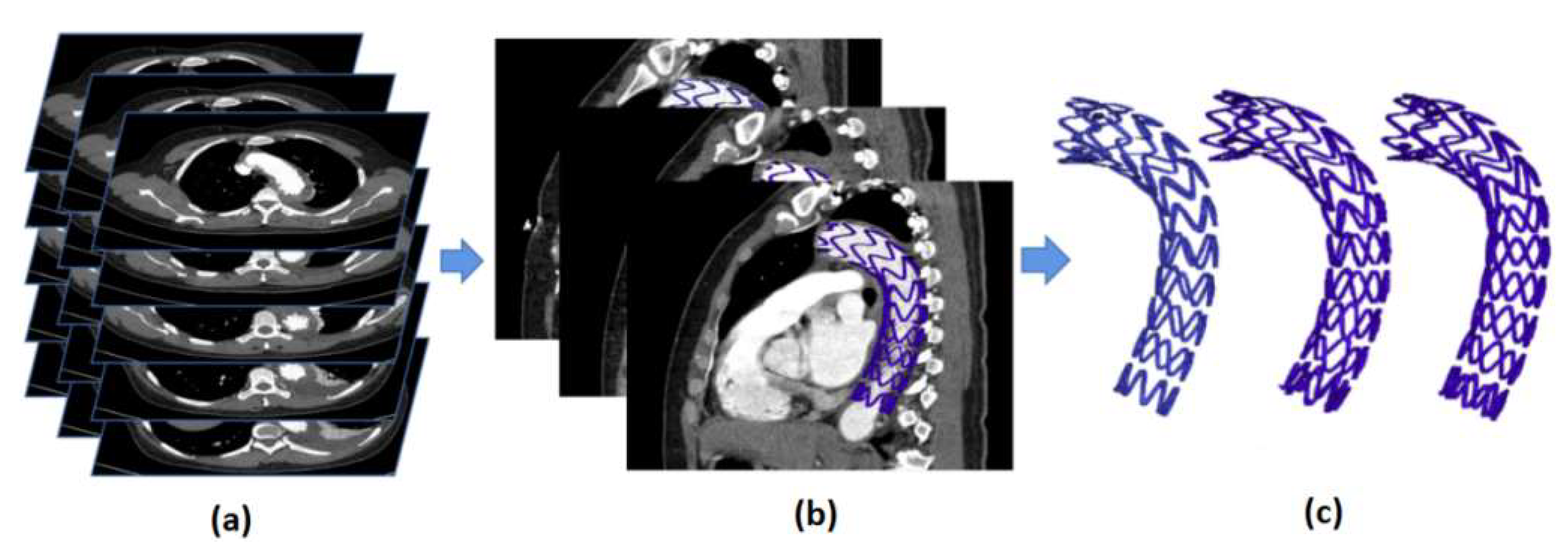 Bioengineering 10 00139 g002