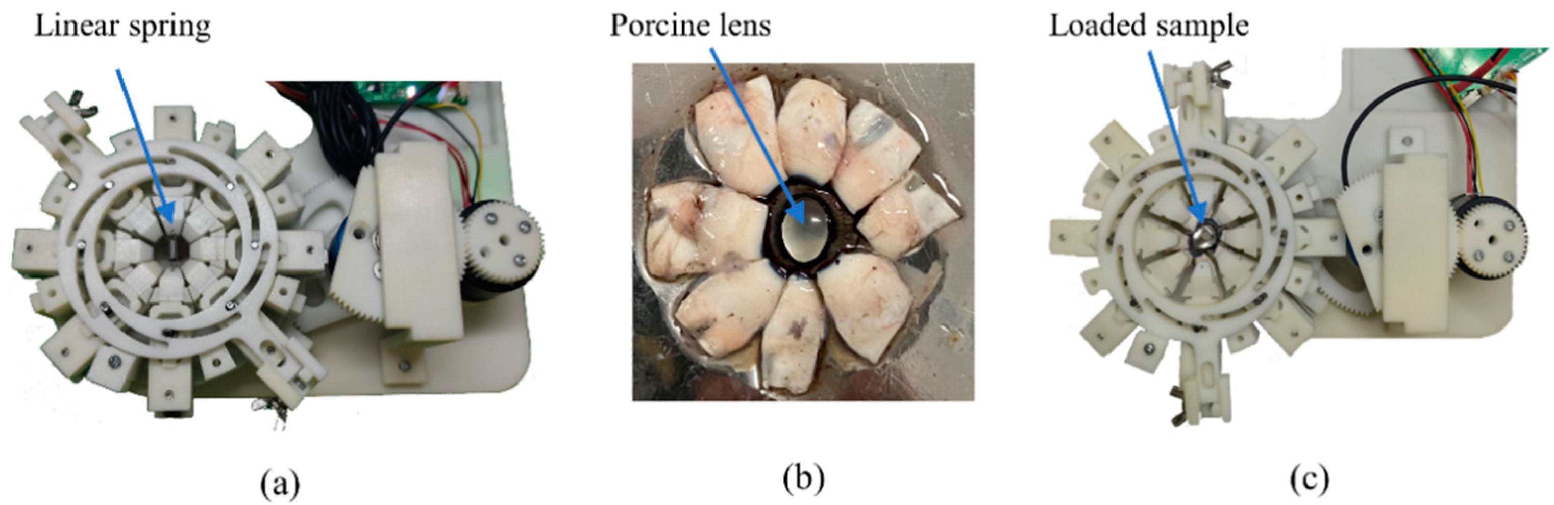 Bioengineering 10 00142 g003