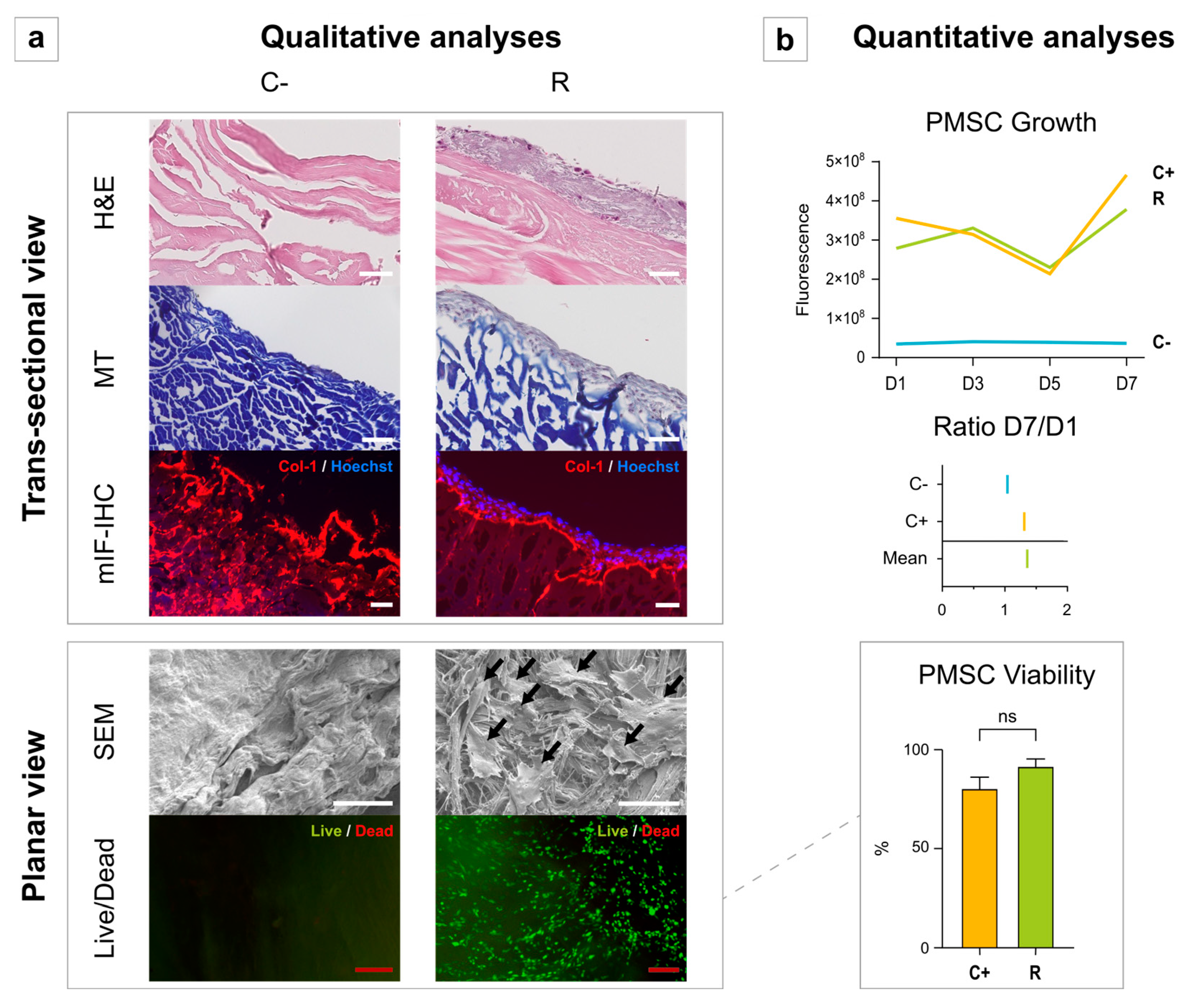 Bioengineering 10 00143 g003