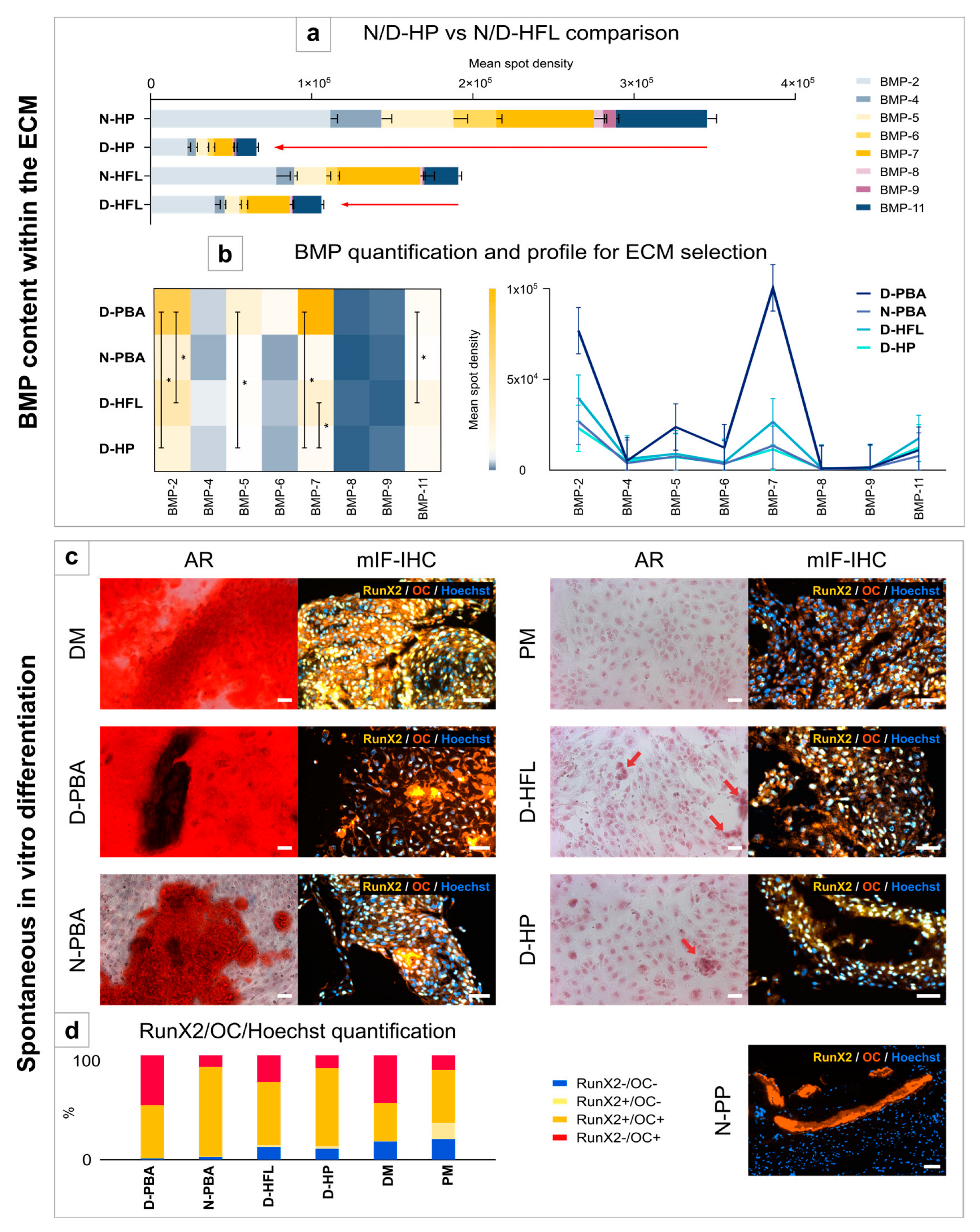 Bioengineering 10 00143 g005