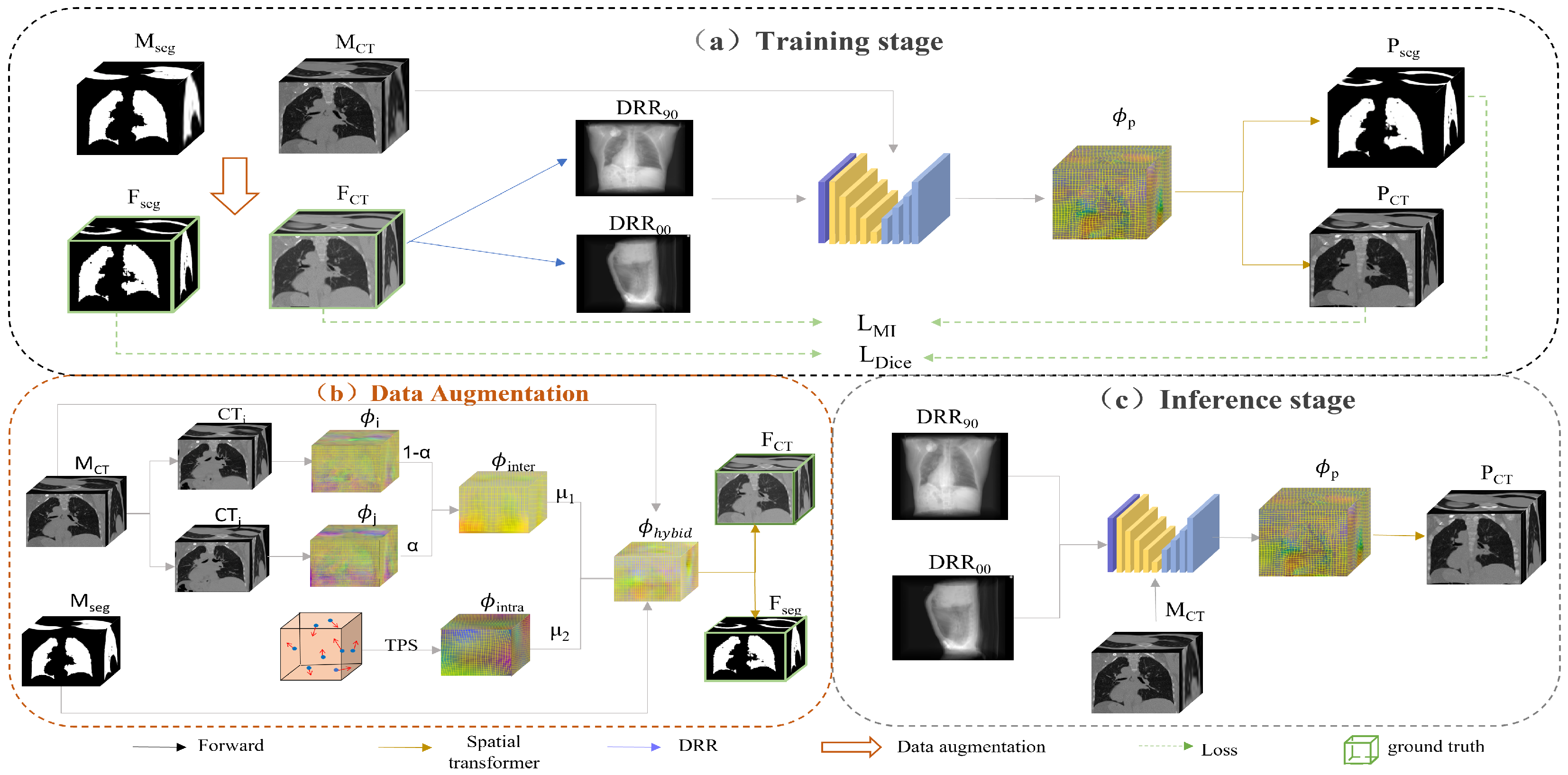 Bioengineering 10 00144 g001 Bioengineering 10 00144 g001