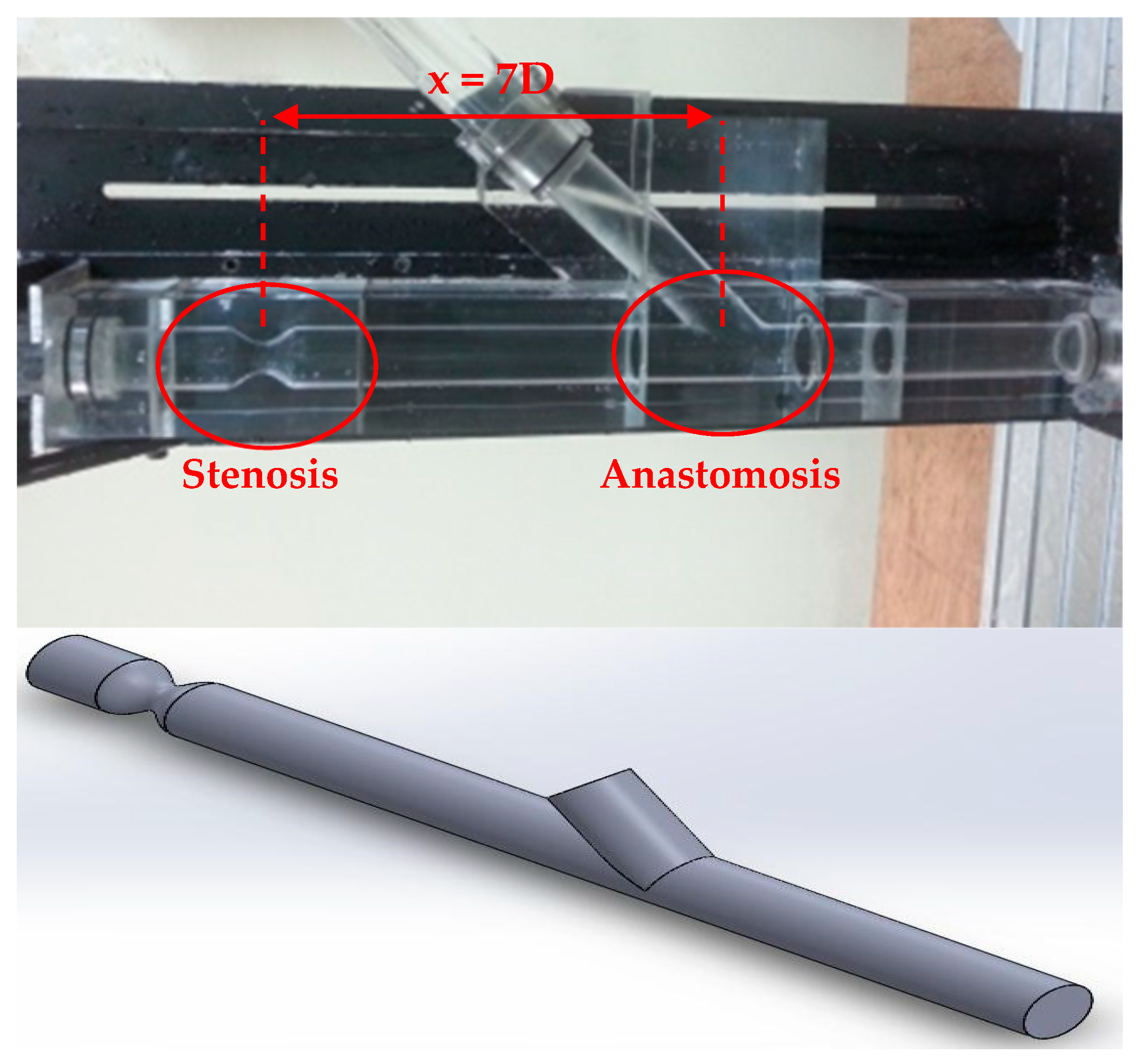 Bioengineering 10 00146 g002 Bioengineering 10 00146 g002