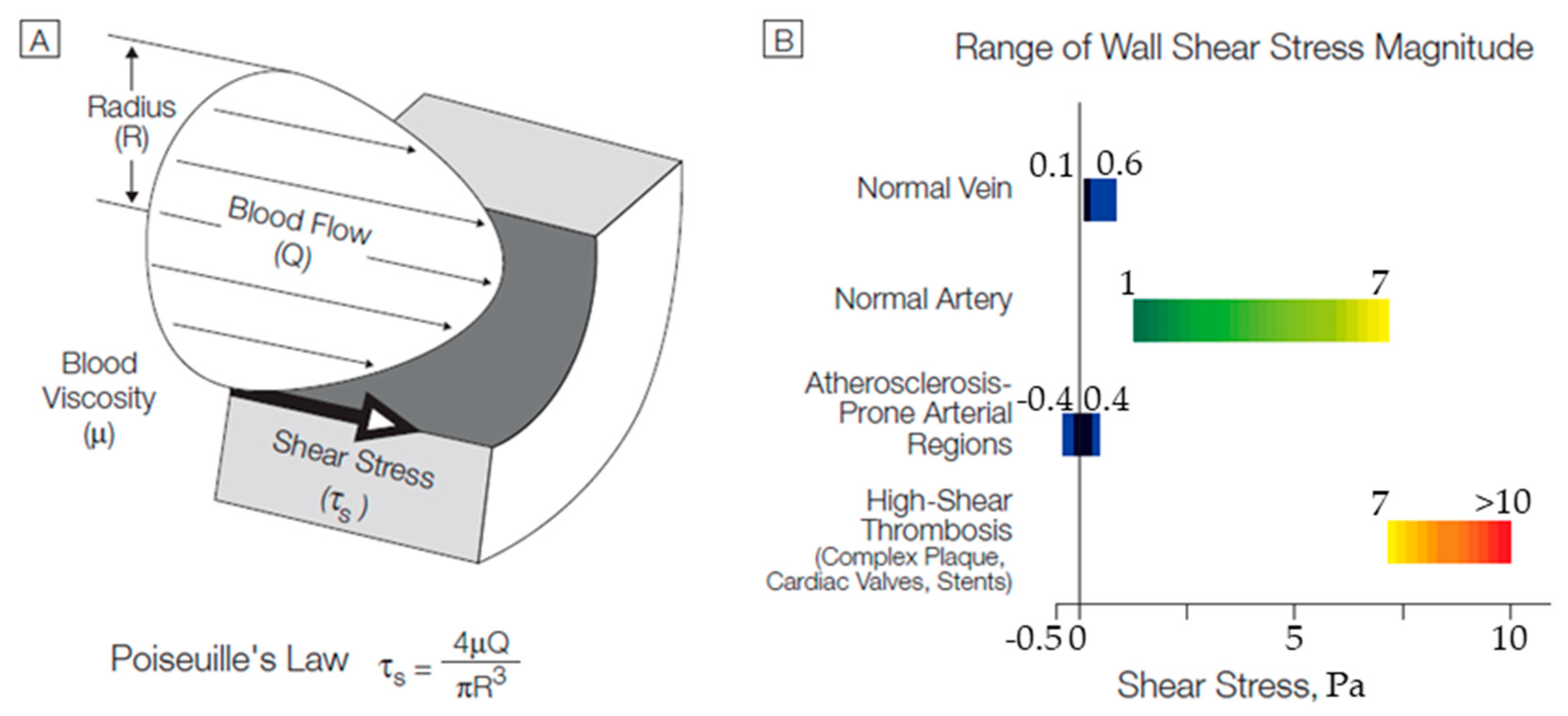 Bioengineering 10 00146 g013 Bioengineering 10 00146 g013
