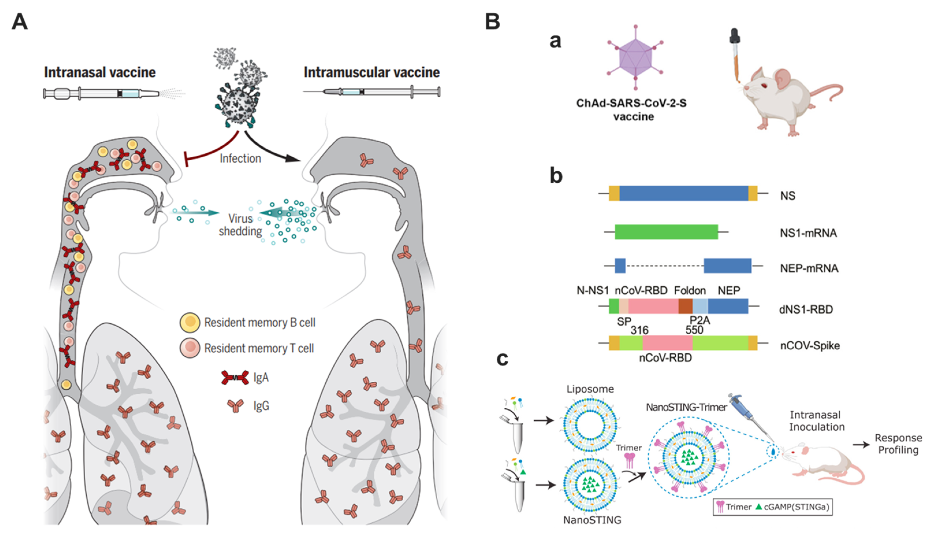 Bioengineering 10 00148 g004 Bioengineering 10 00148 g004