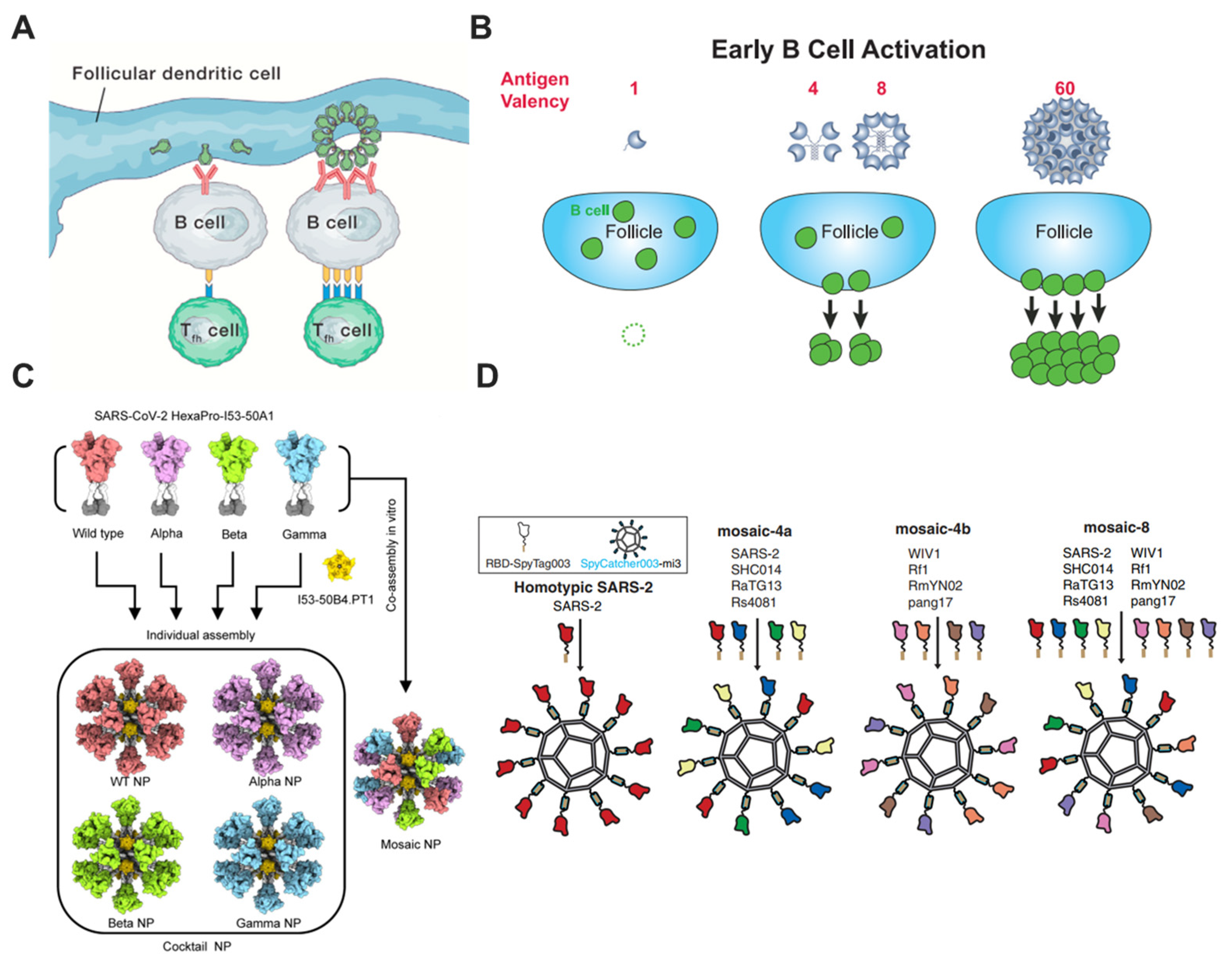 Bioengineering 10 00148 g005 Bioengineering 10 00148 g005
