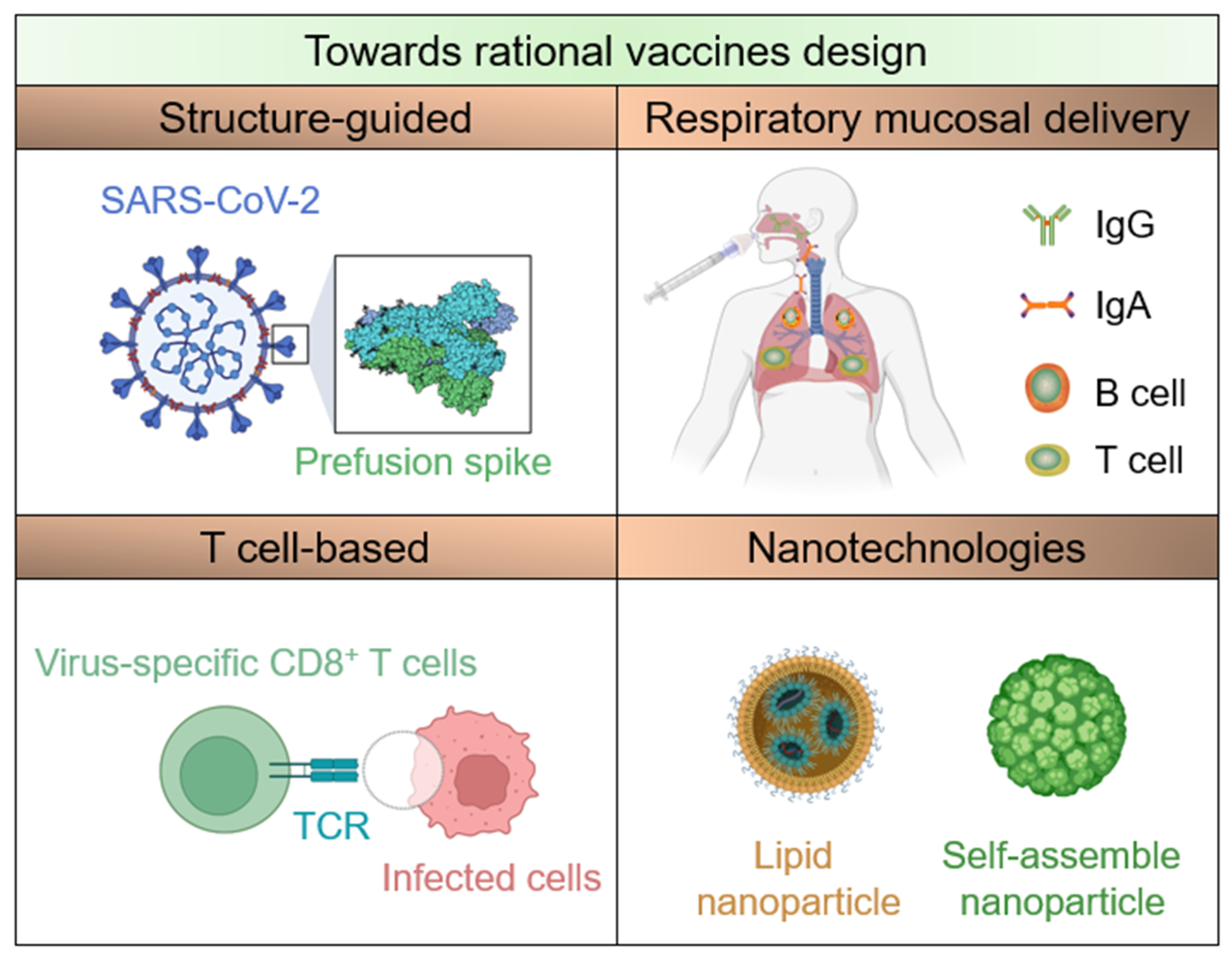 Bioengineering 10 00148 sch001 Bioengineering 10 00148 sch001