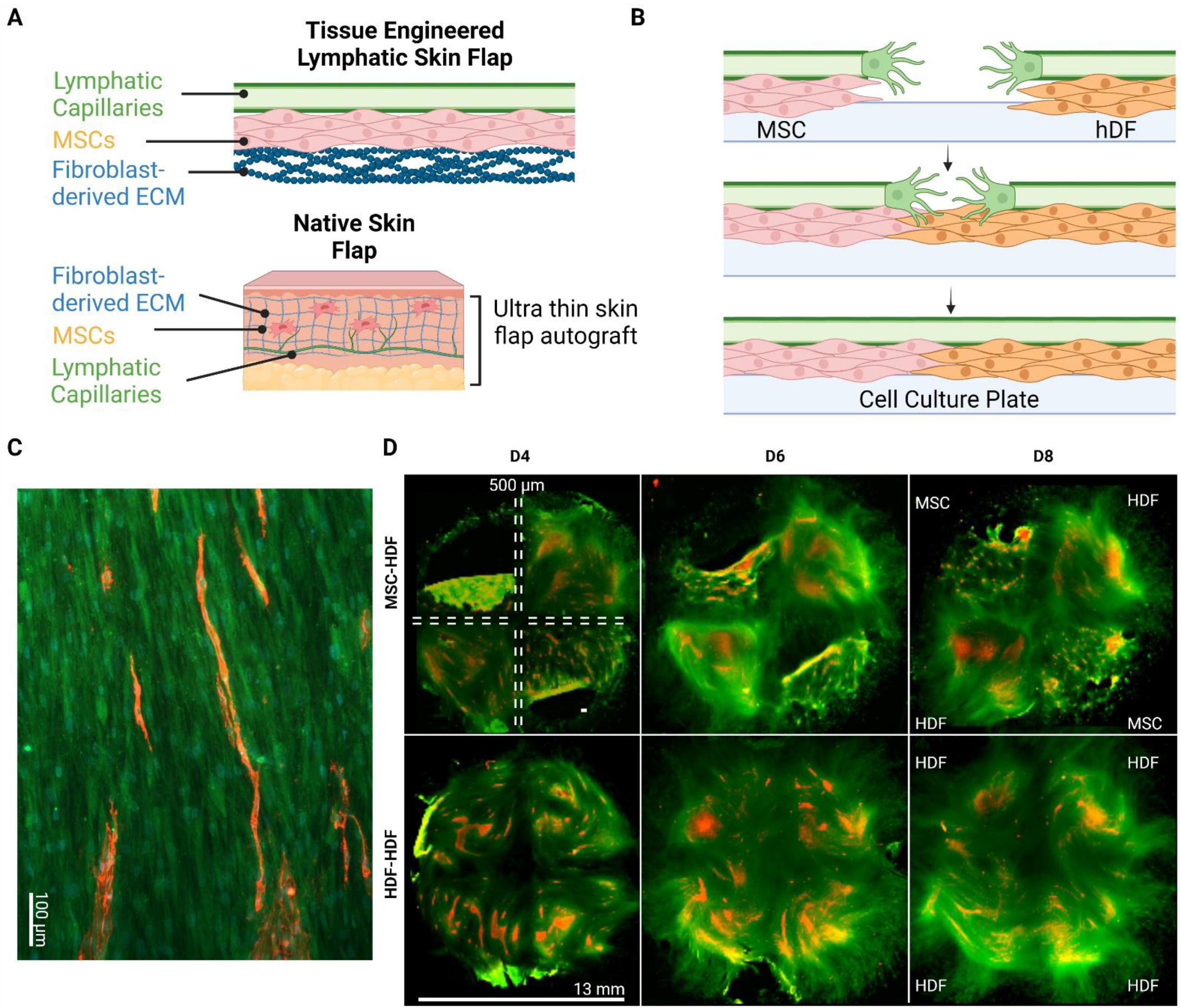 Bioengineering 10 00149 g002 Bioengineering 10 00149 g002