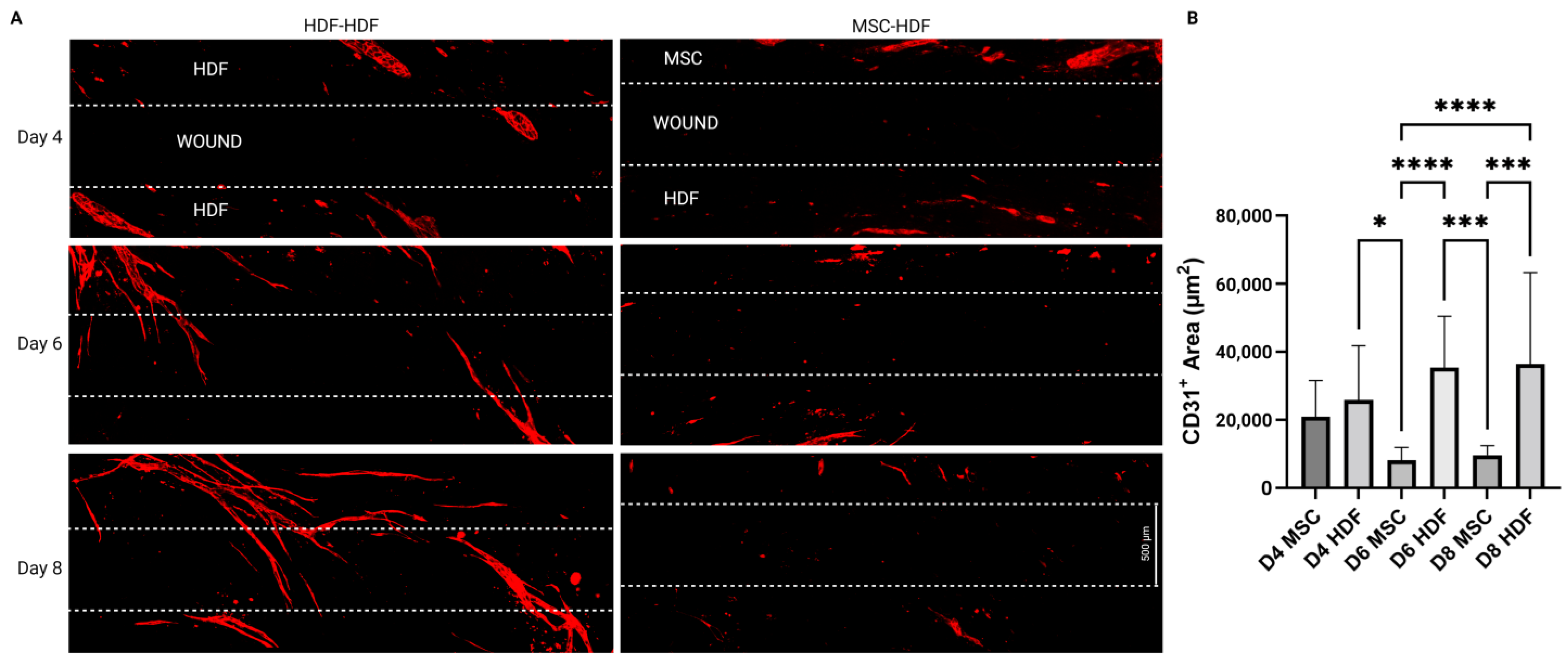 Bioengineering 10 00149 g003 Bioengineering 10 00149 g003