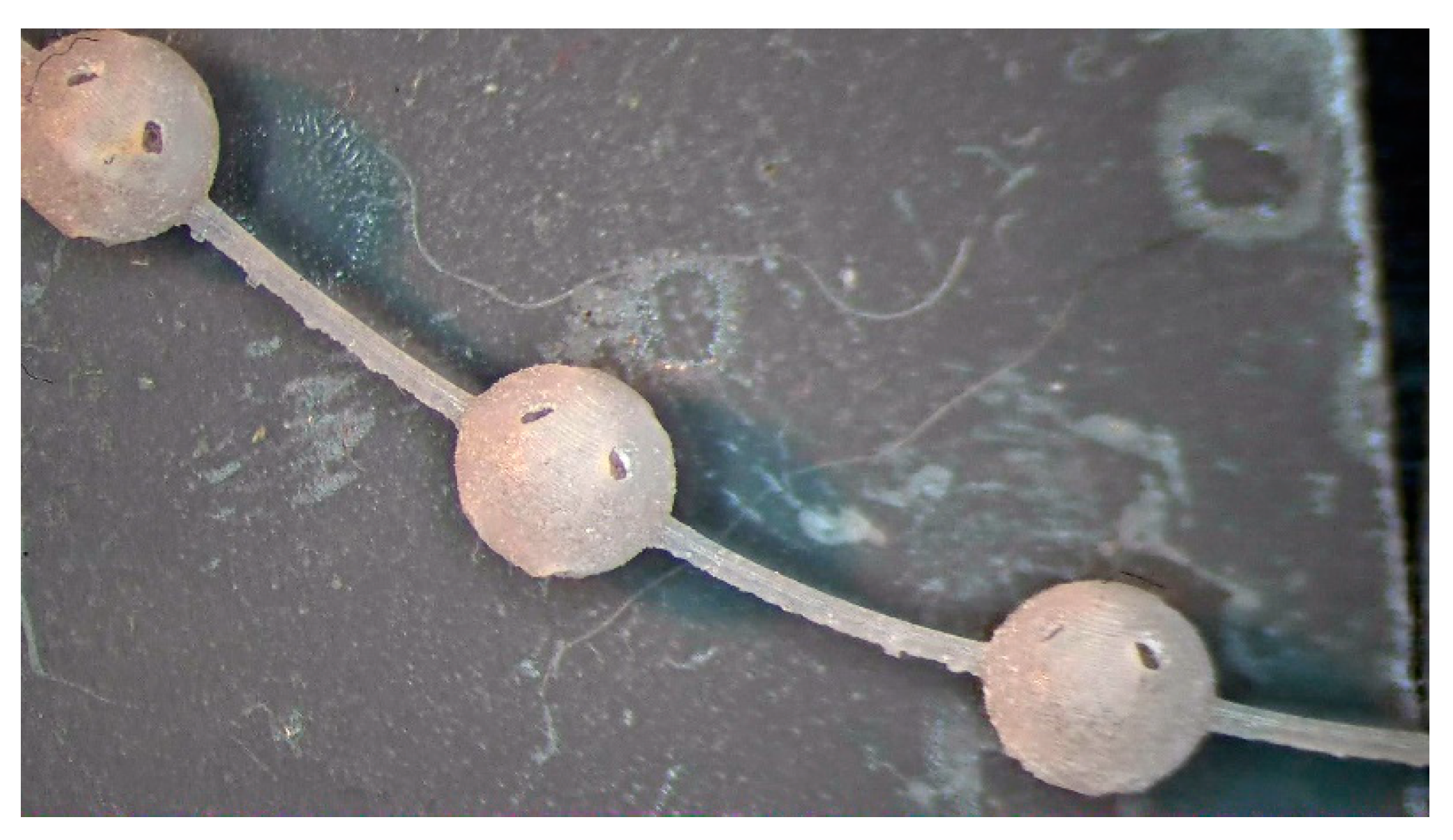 Bioengineering 10 00150 g002