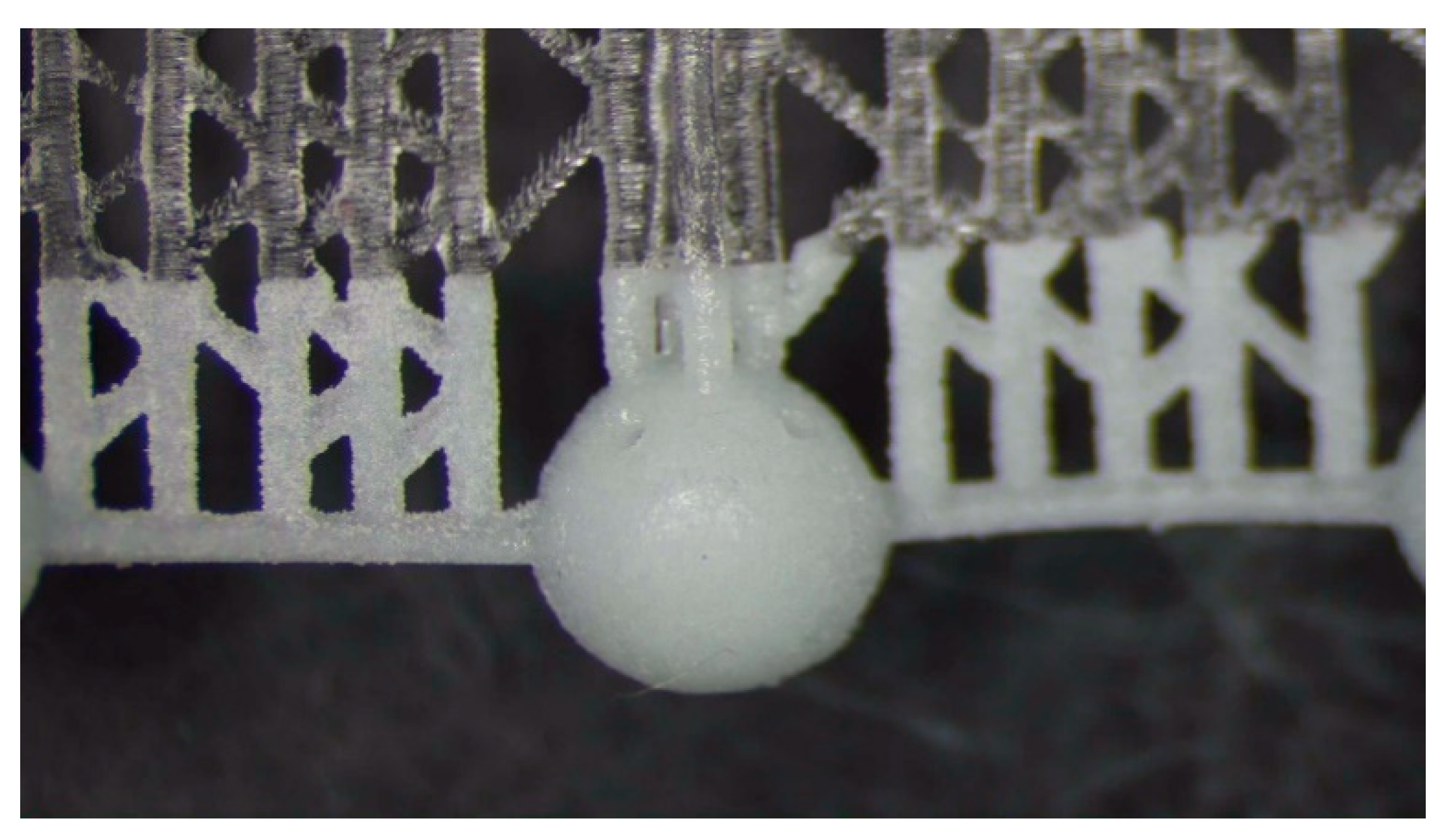 Bioengineering 10 00150 g003