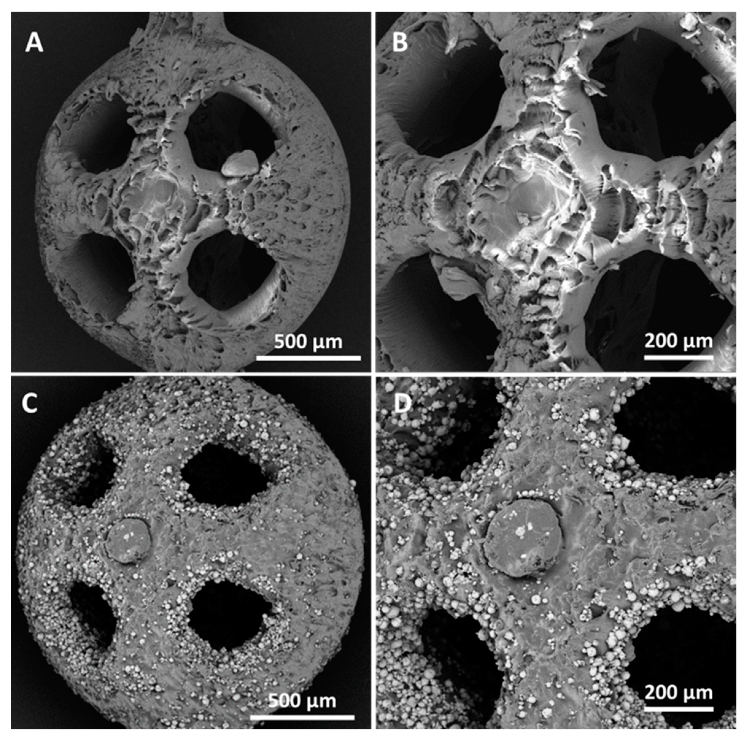 Bioengineering 10 00150 g005
