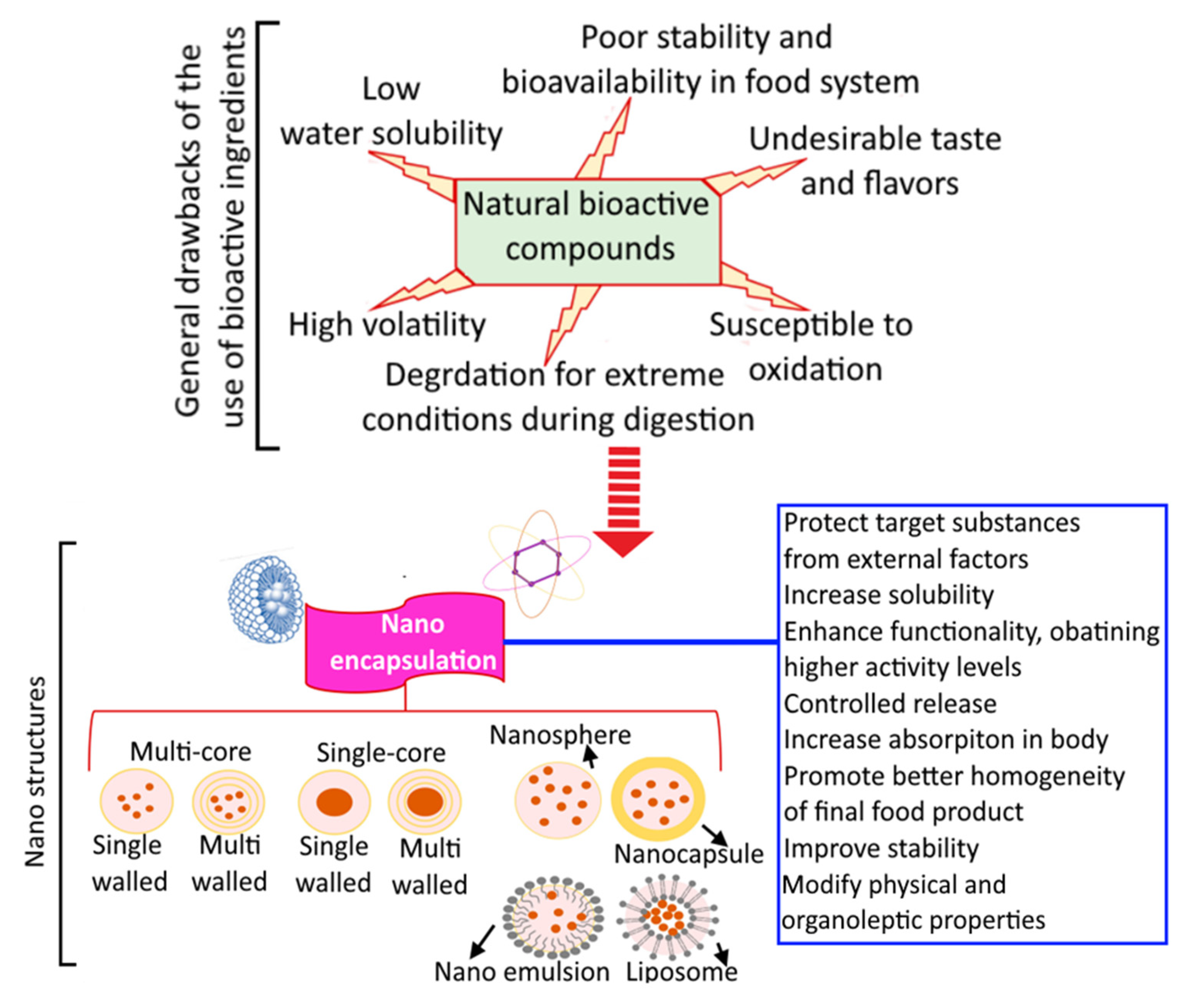Bioengineering 10 00152 g005