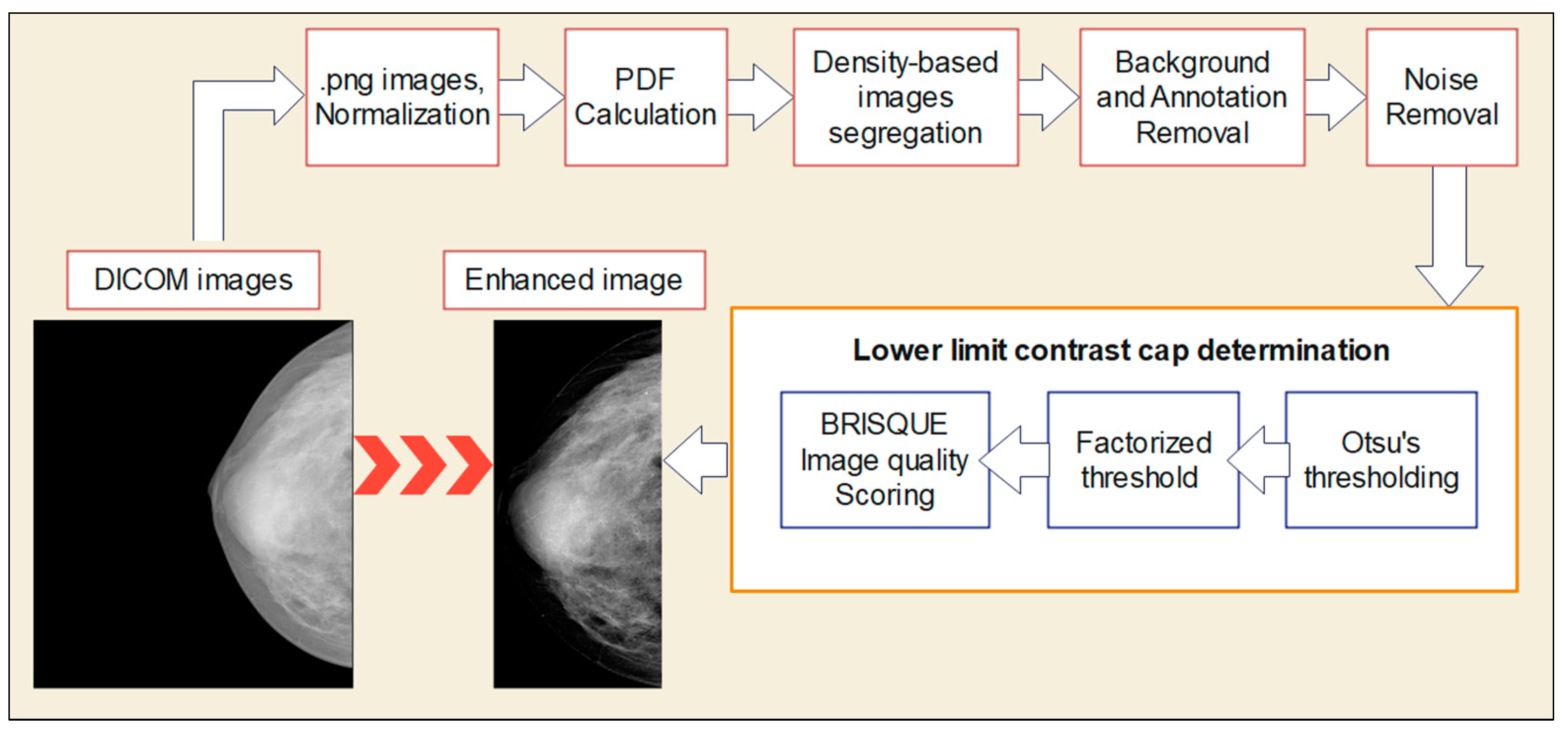 Bioengineering 10 00153 g003 Bioengineering 10 00153 g003