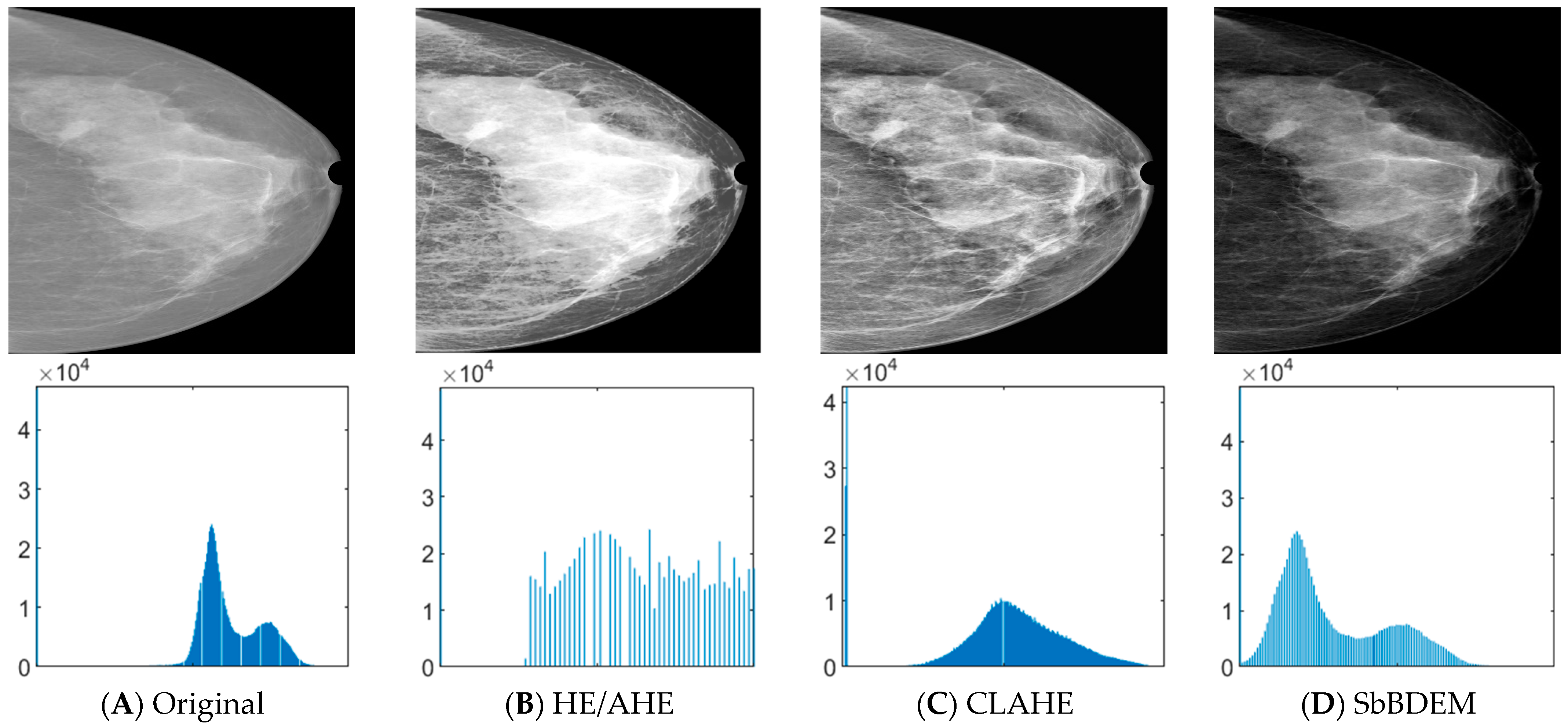 Bioengineering 10 00153 g005 Bioengineering 10 00153 g005