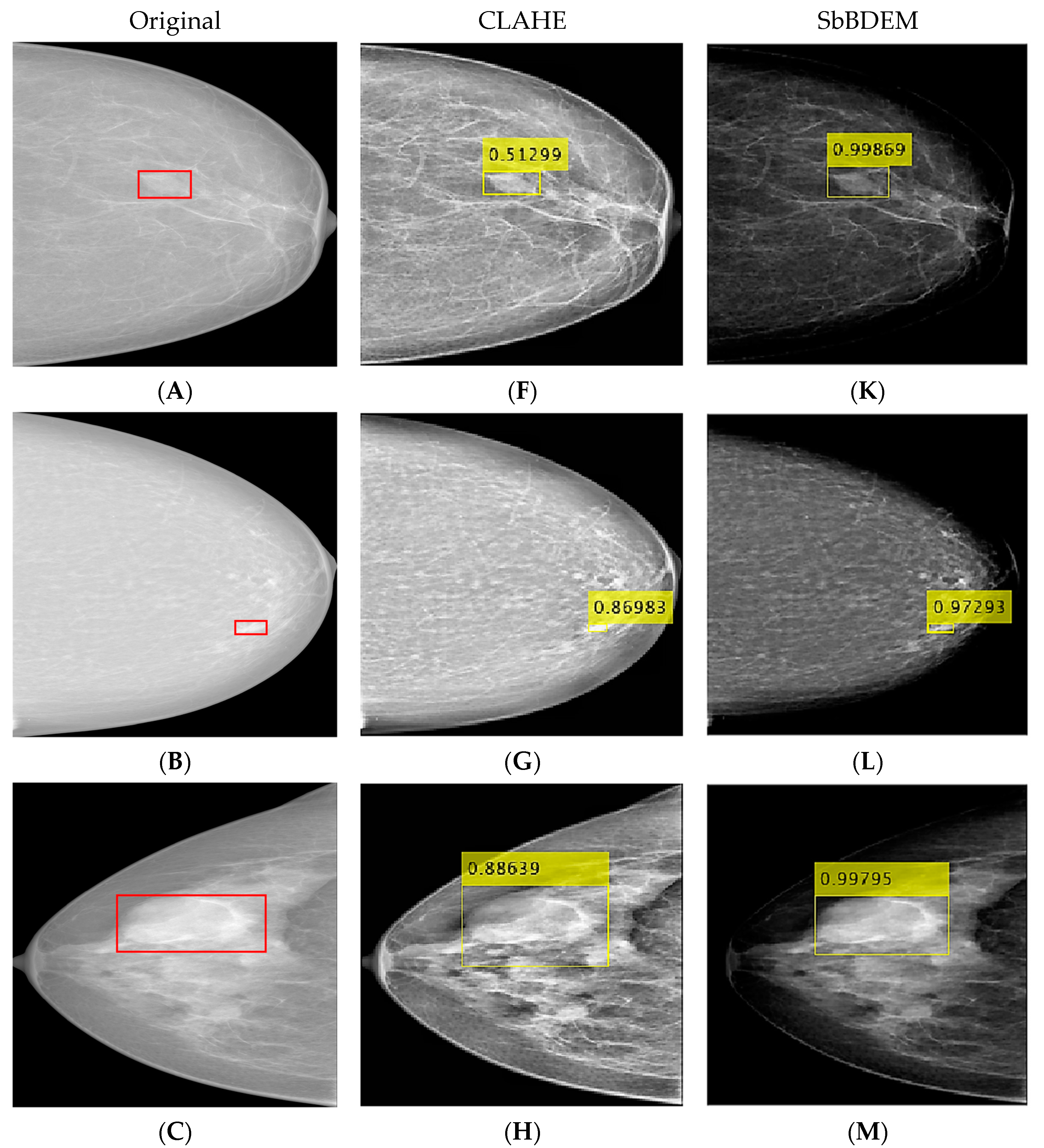 Bioengineering 10 00153 g006a Bioengineering 10 00153 g006a