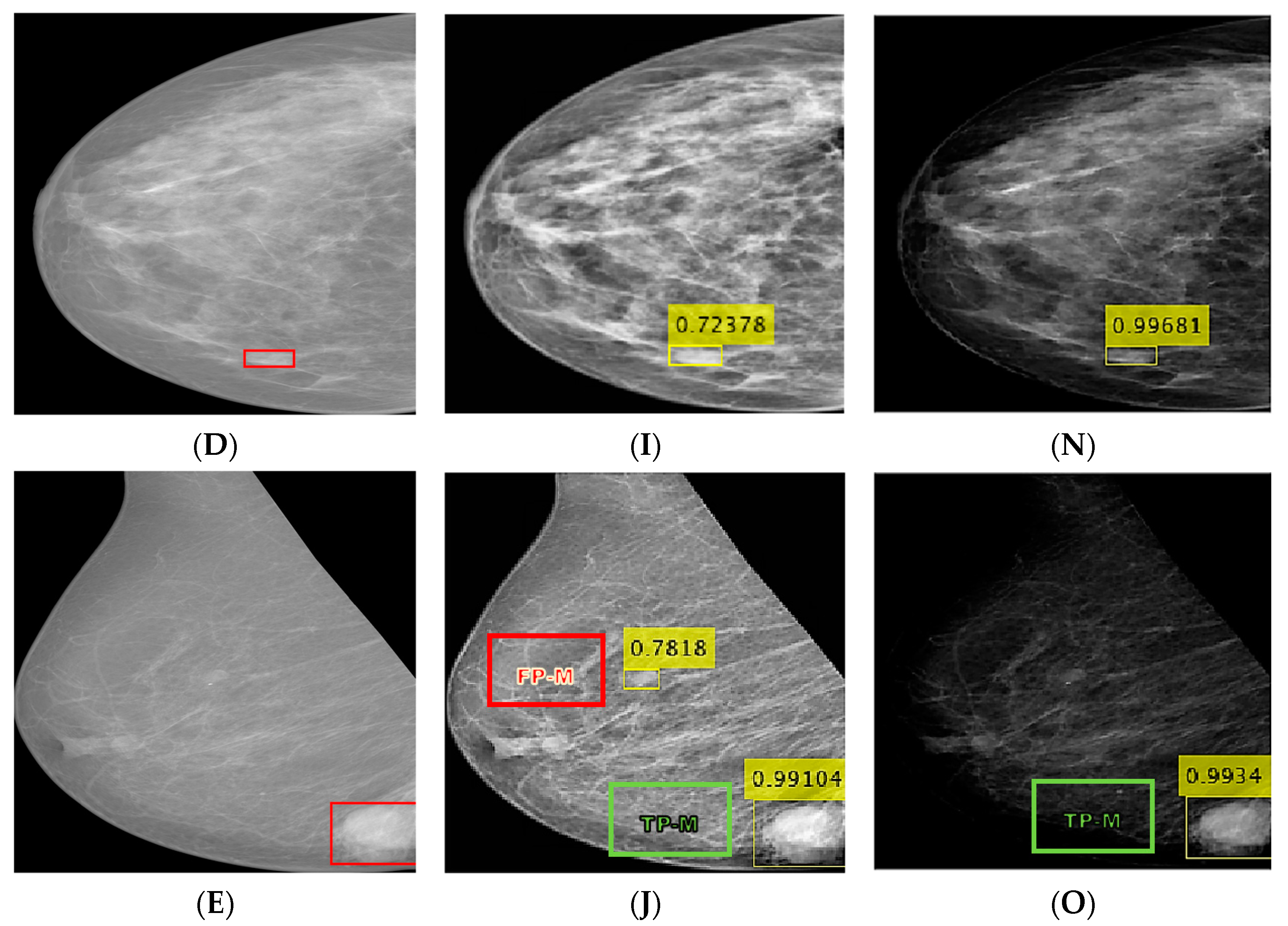 Bioengineering 10 00153 g006b Bioengineering 10 00153 g006b