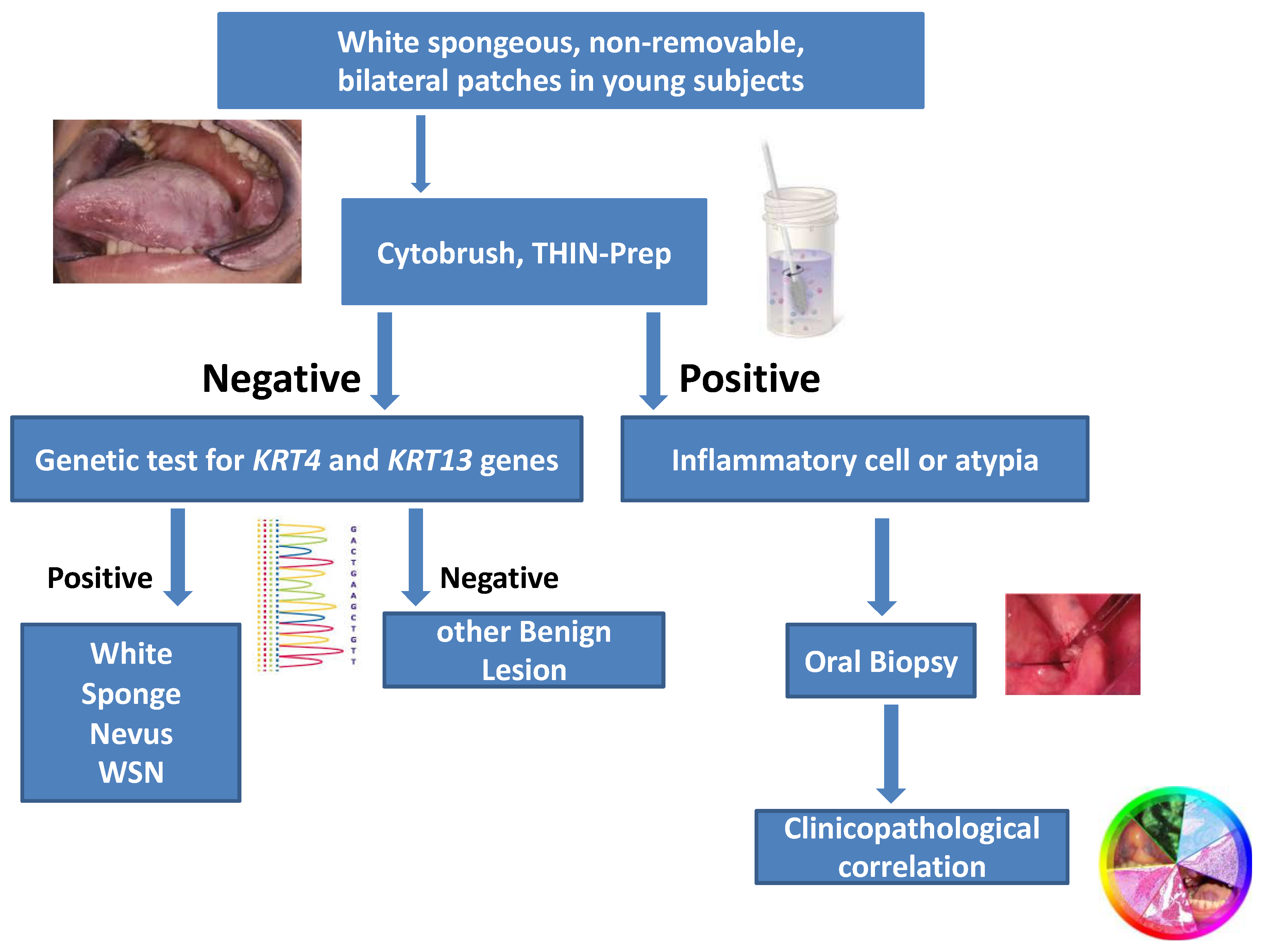 Bioengineering 10 00154 g004
