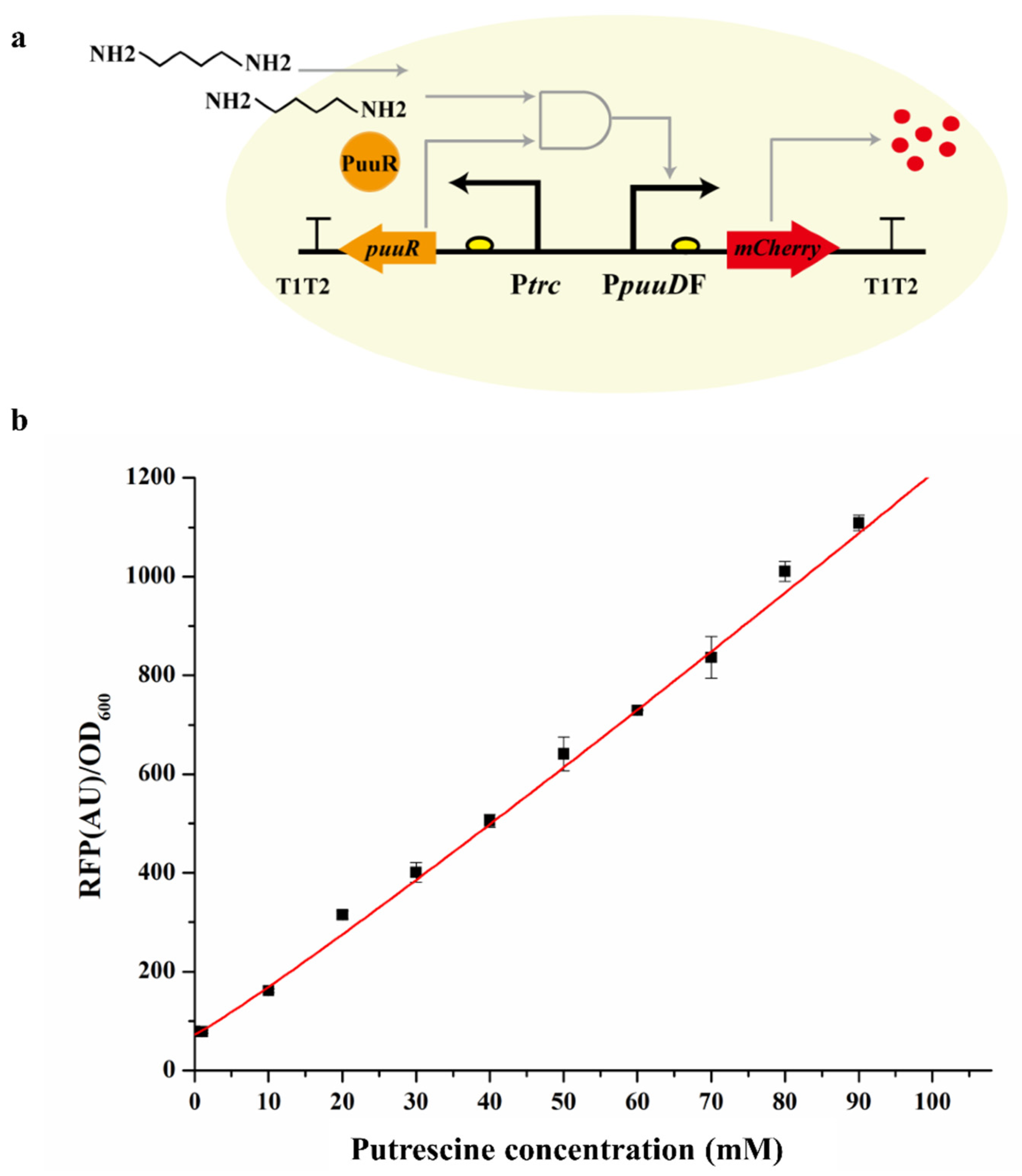 Bioengineering 10 00157 g002