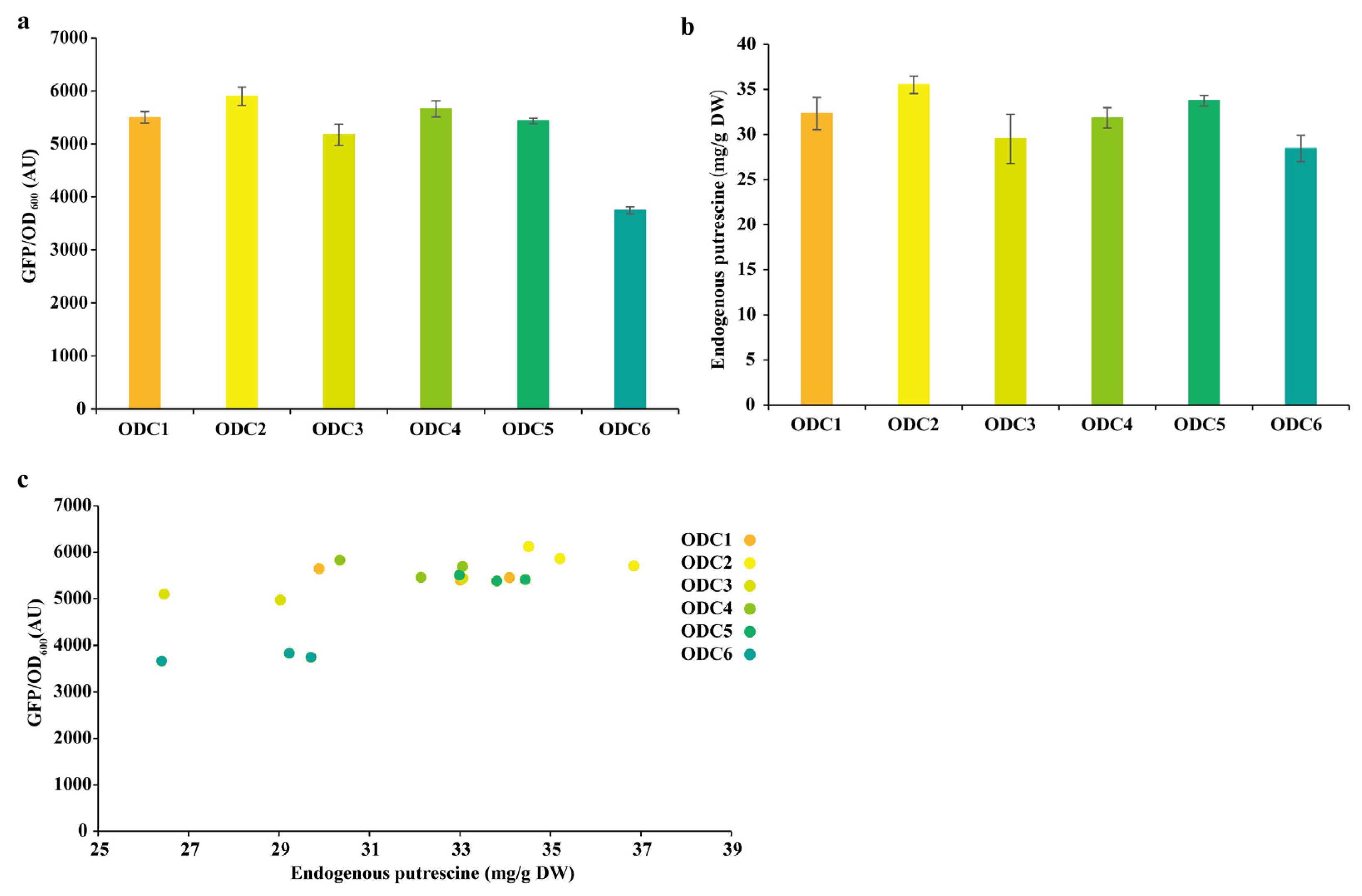 Bioengineering 10 00157 g005
