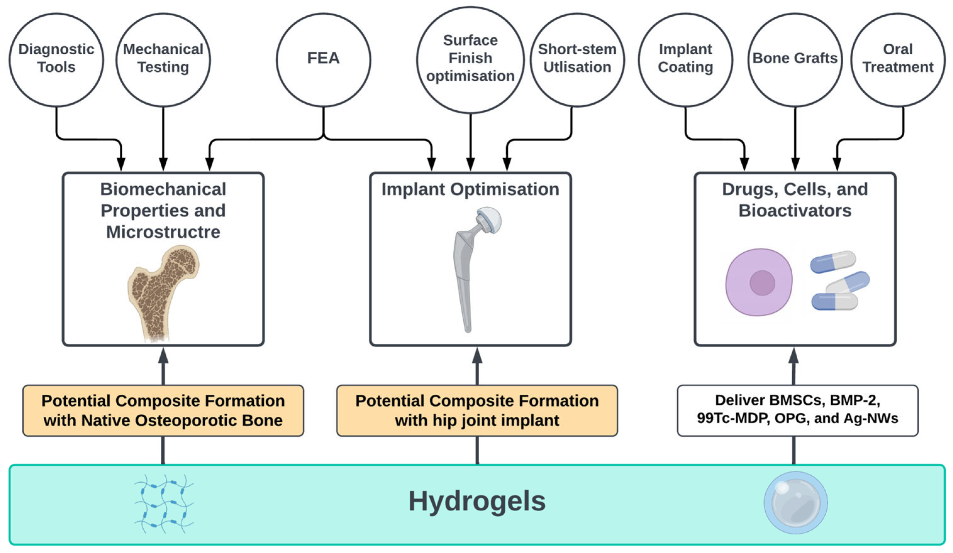 Bioengineering 10 00161 g001