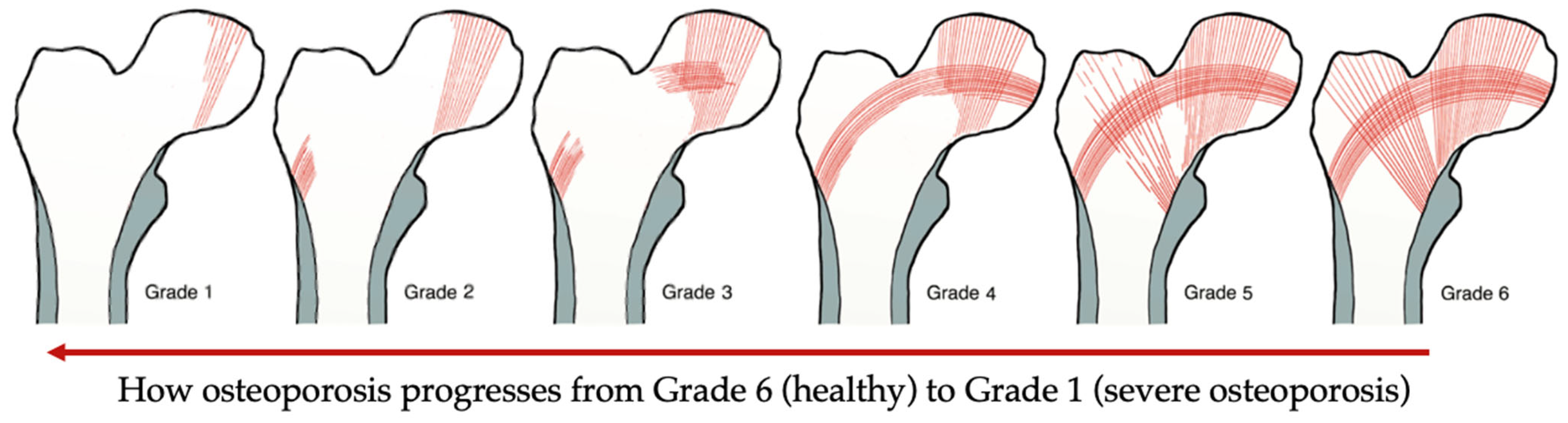 Bioengineering 10 00161 g002