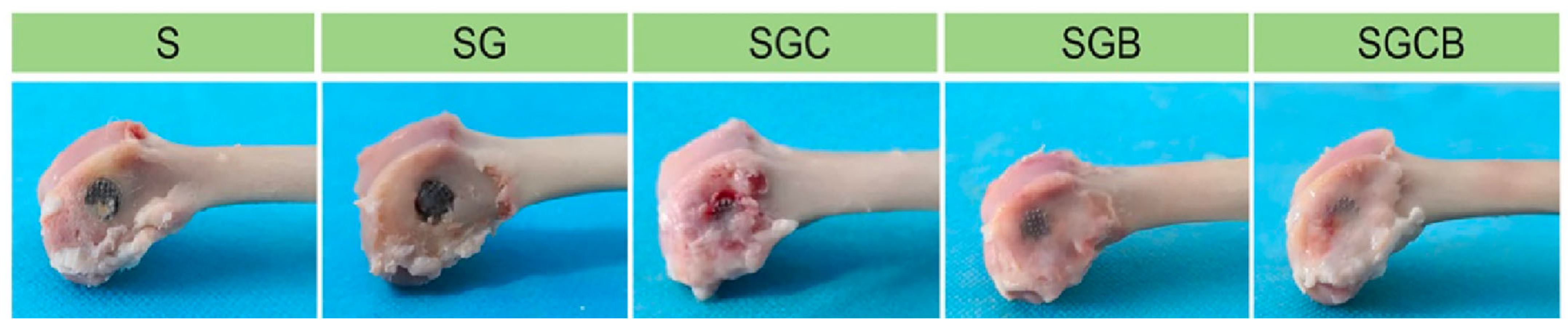 Bioengineering 10 00161 g005
