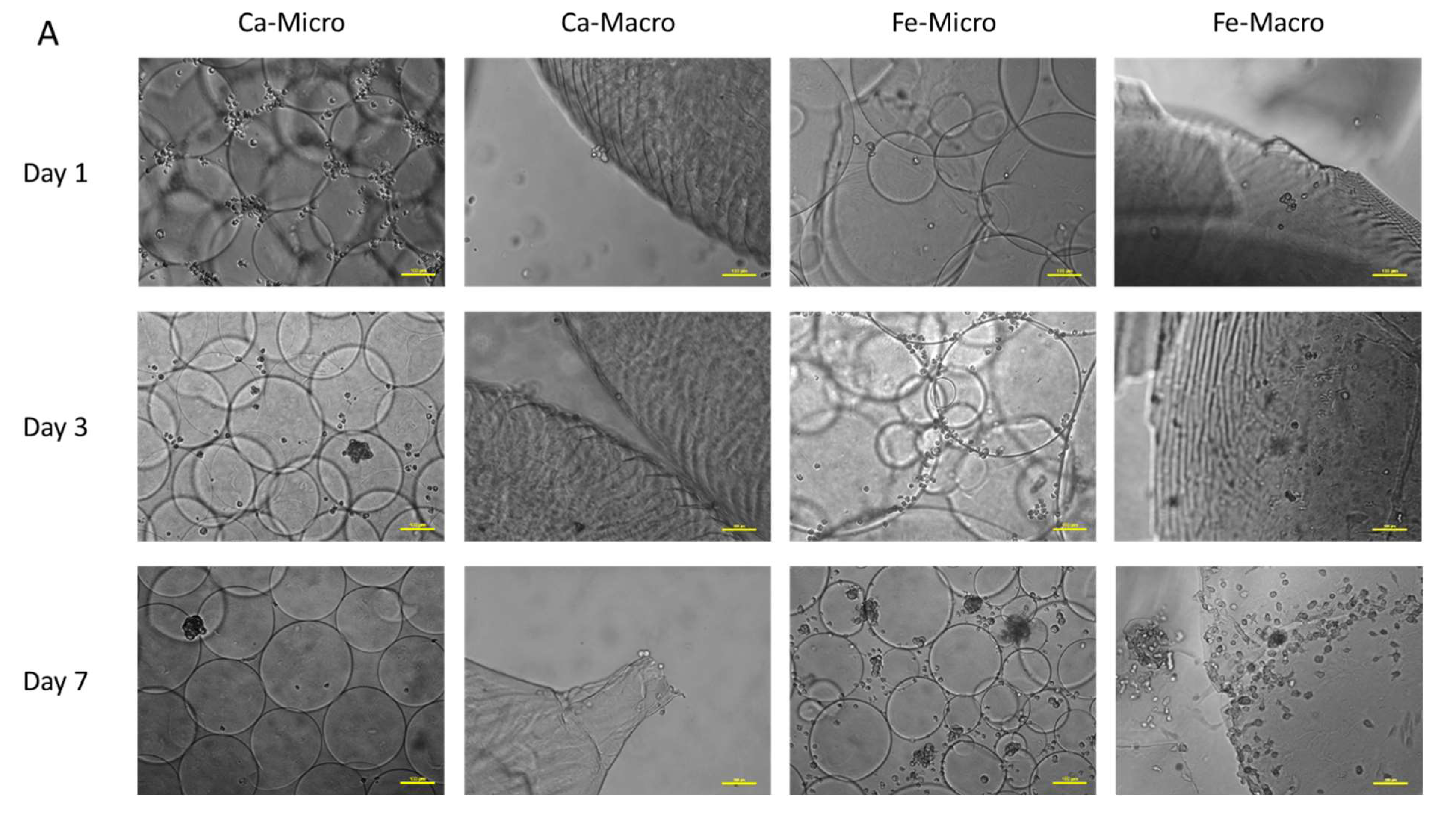 Bioengineering 10 00163 g008a