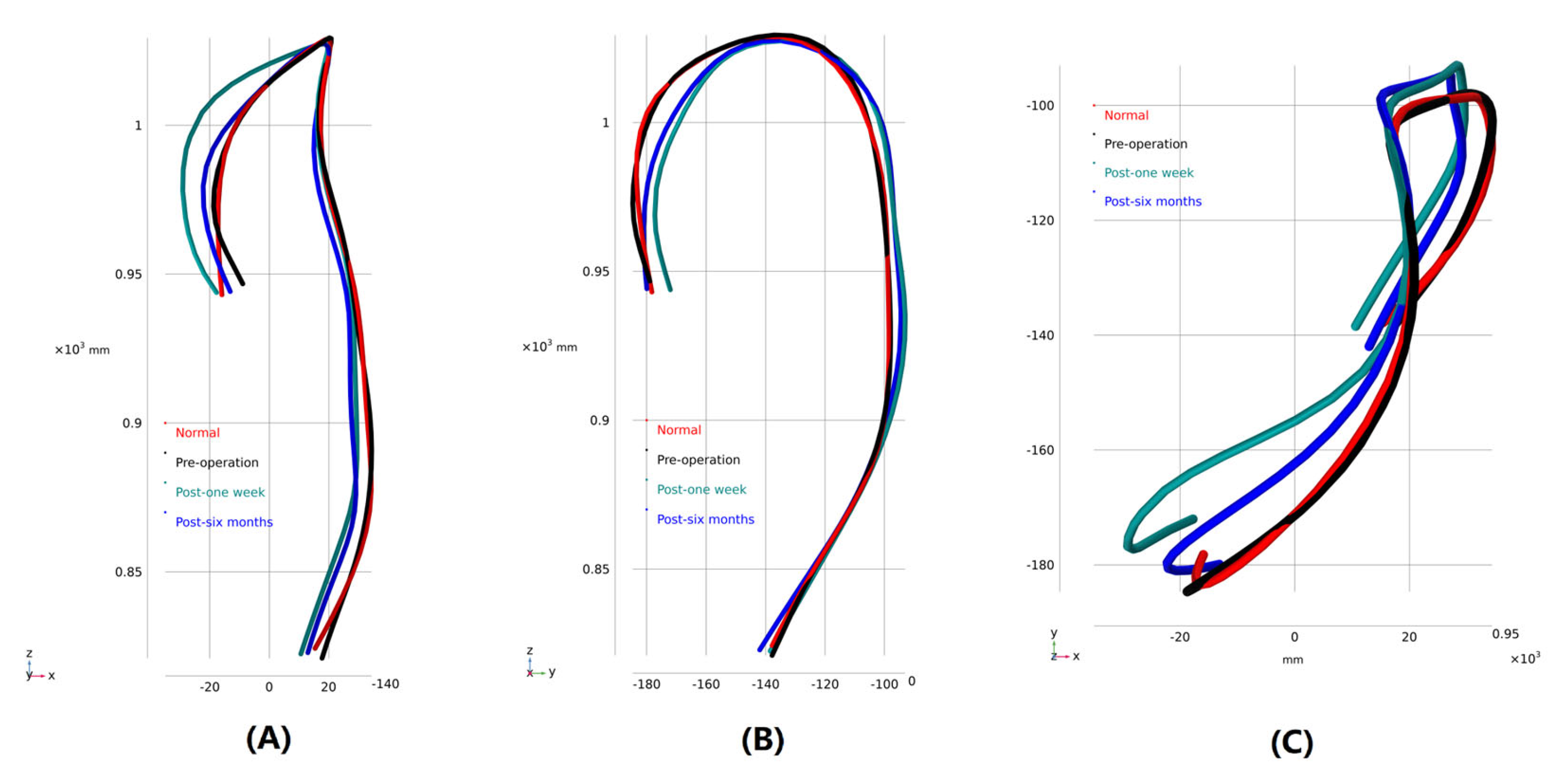 Bioengineering 10 00164 g004