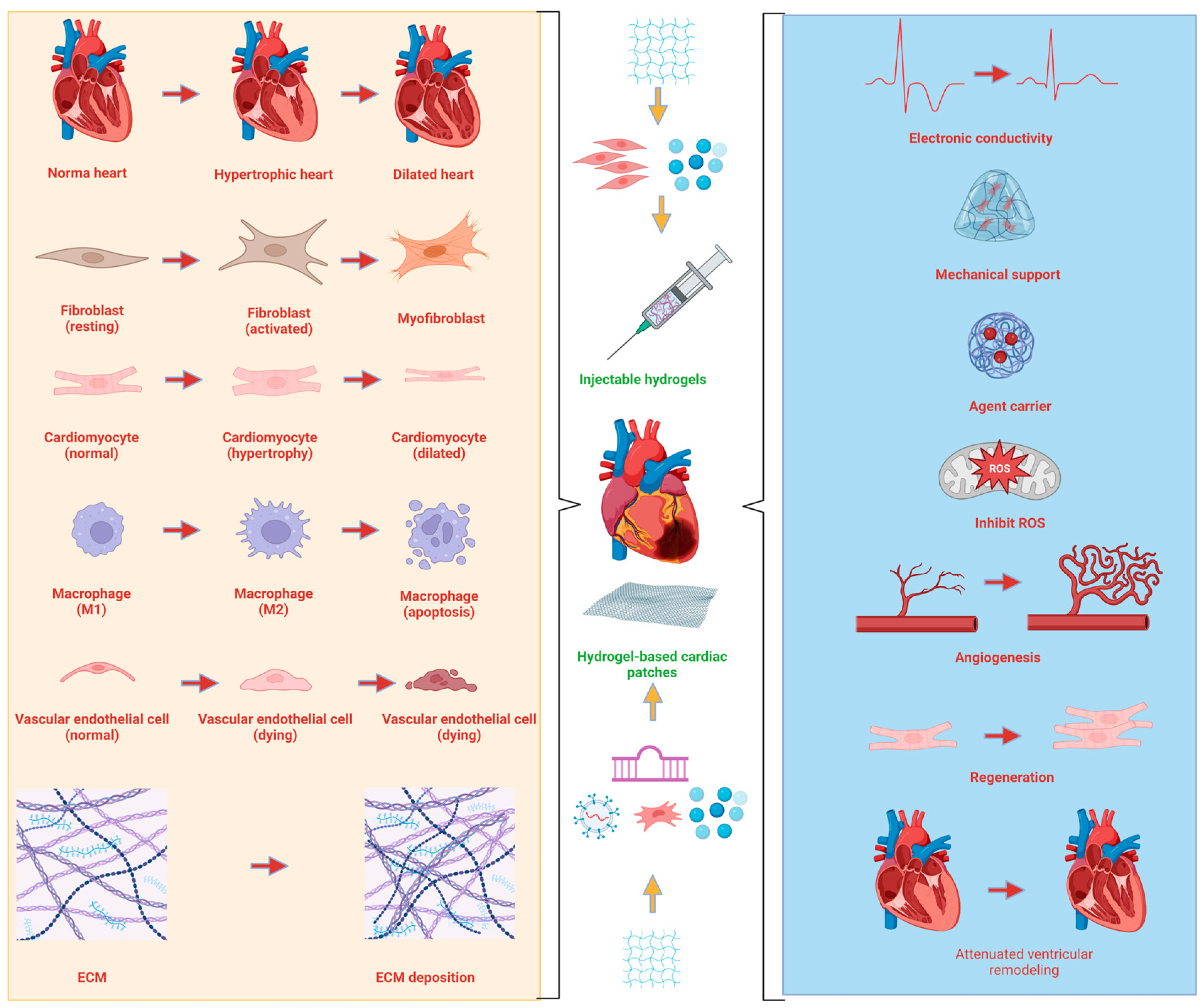 Bioengineering 10 00165 g003 Bioengineering 10 00165 g003