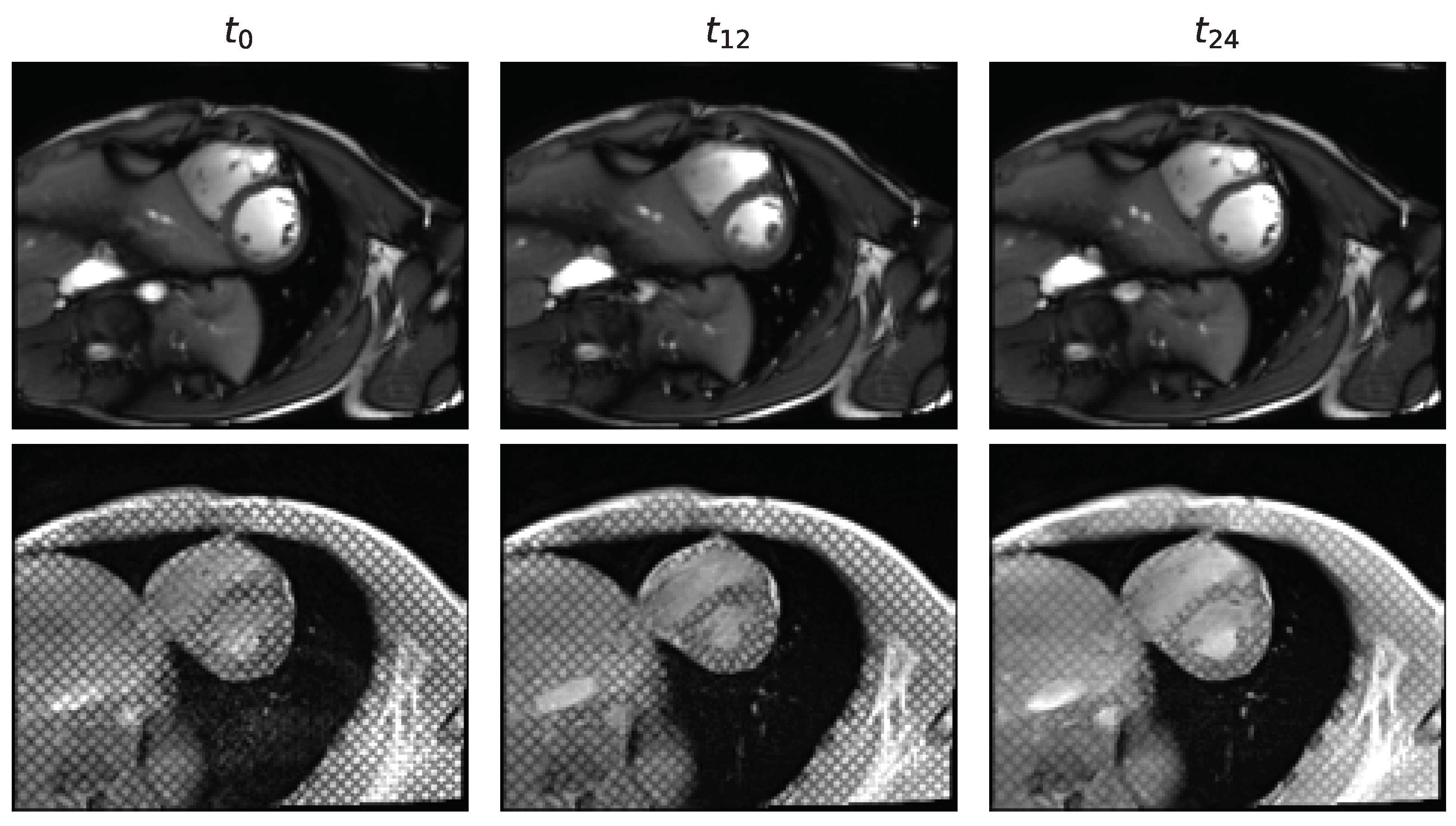 Bioengineering 10 00166 g002 Bioengineering 10 00166 g002